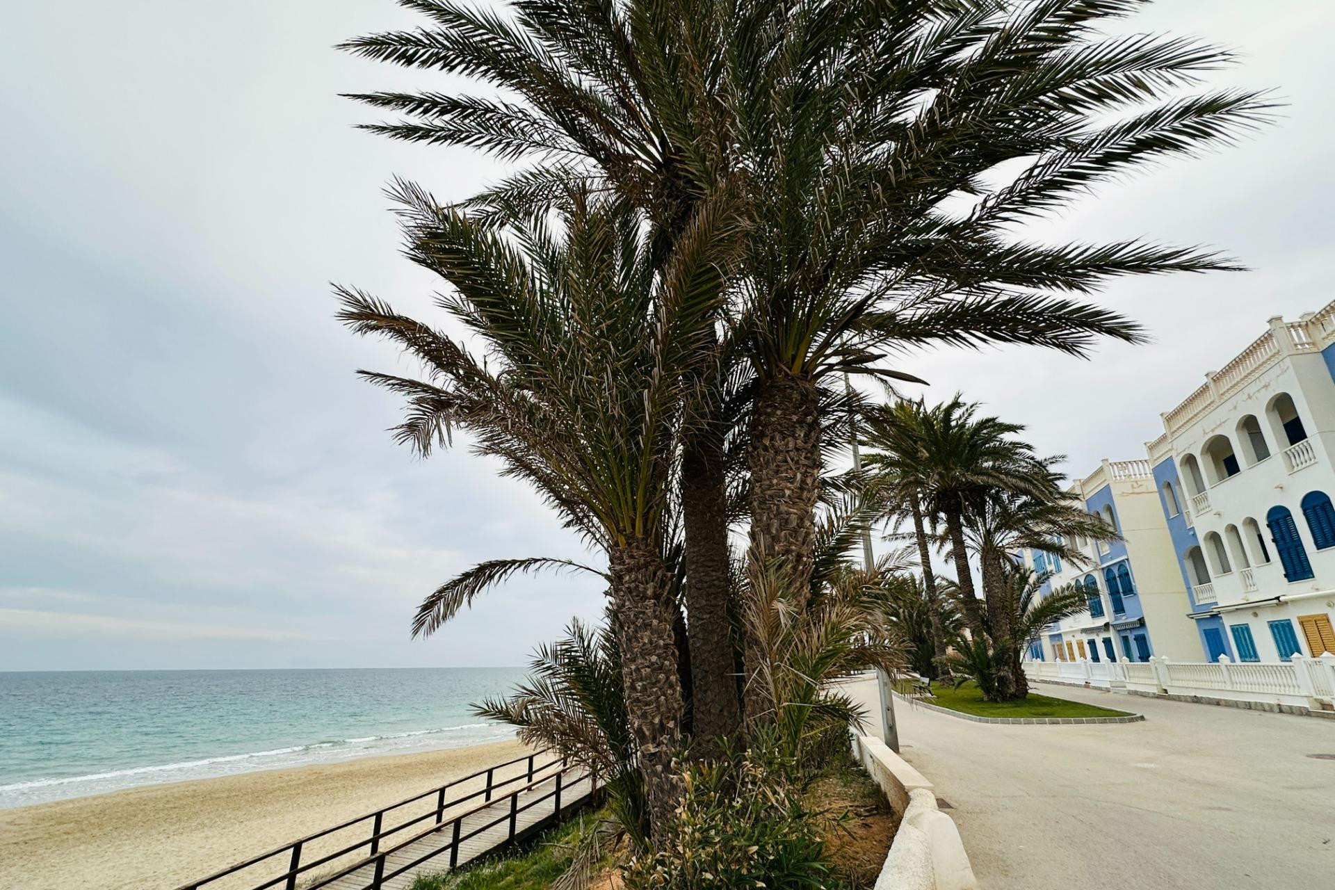 Resale - Apartment  - Pilar de la Horadada - Mil Palmeras