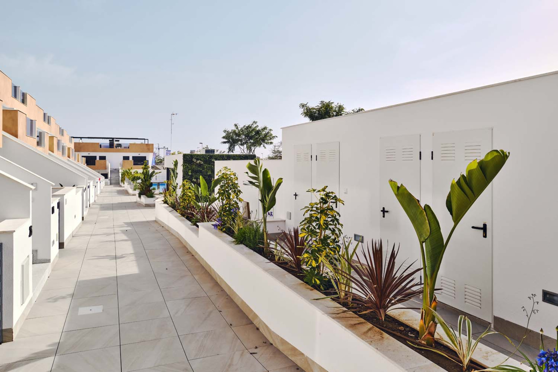 Resale - Apartment  - Pilar de La Horadada - Pilar de La Horadada - Town