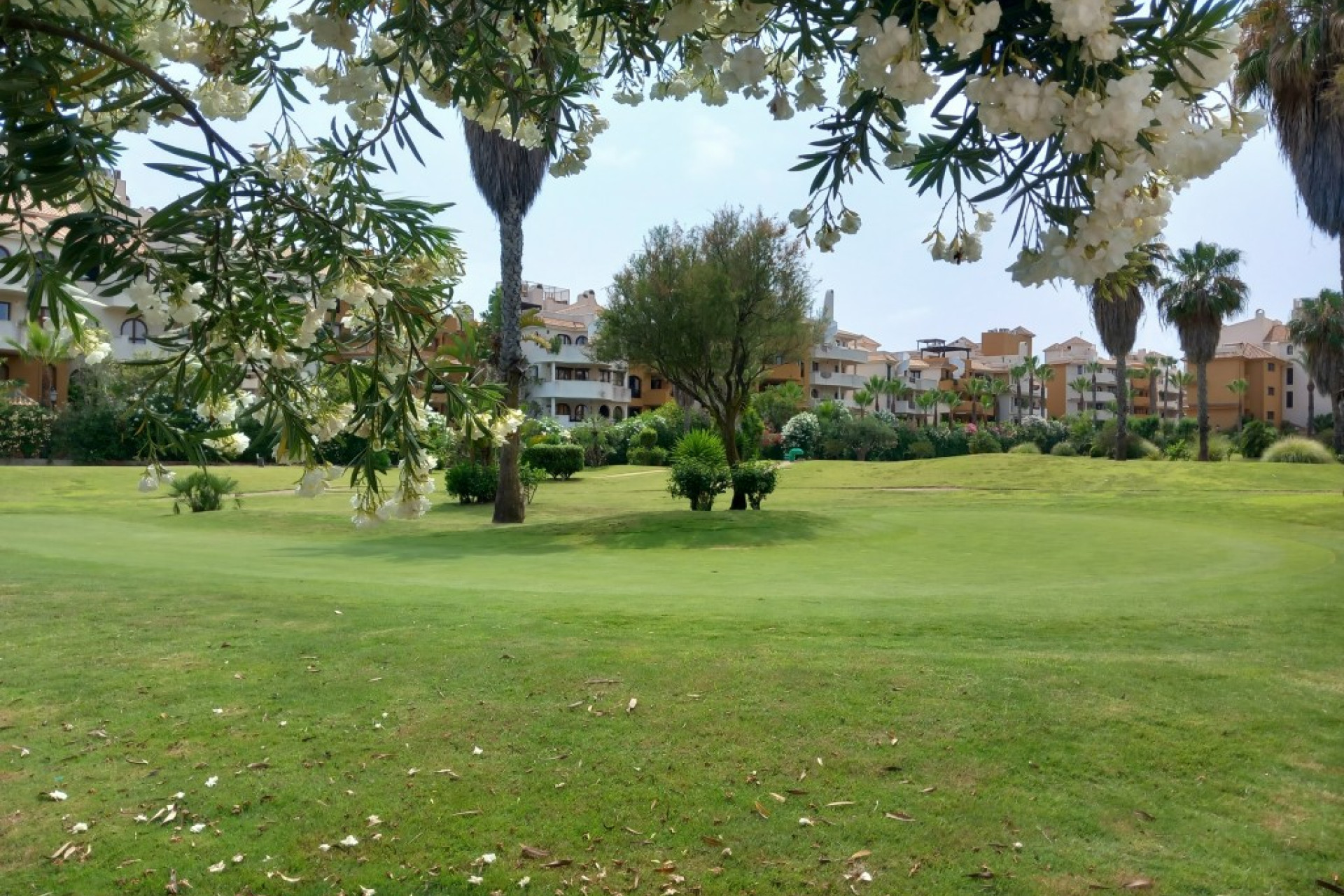 Resale - Apartment  - Punta Prima