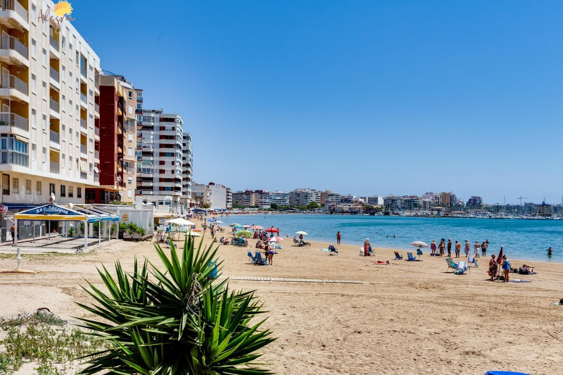 Resale - Apartment  - Torrevieja - Acequion