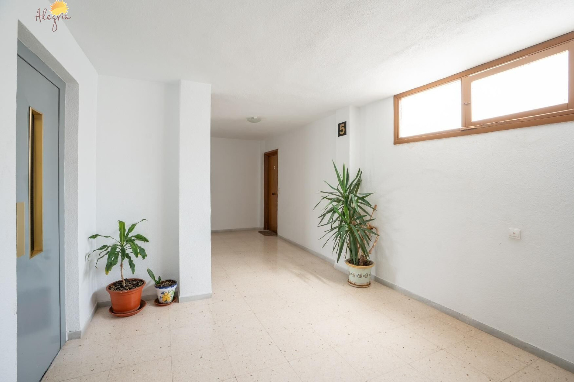 Resale - Apartment  - Torrevieja - Acequion
