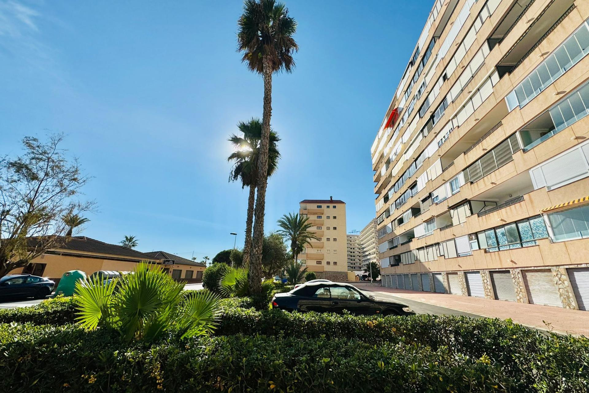 Resale - Apartment  - Torrevieja - Cabo cervera