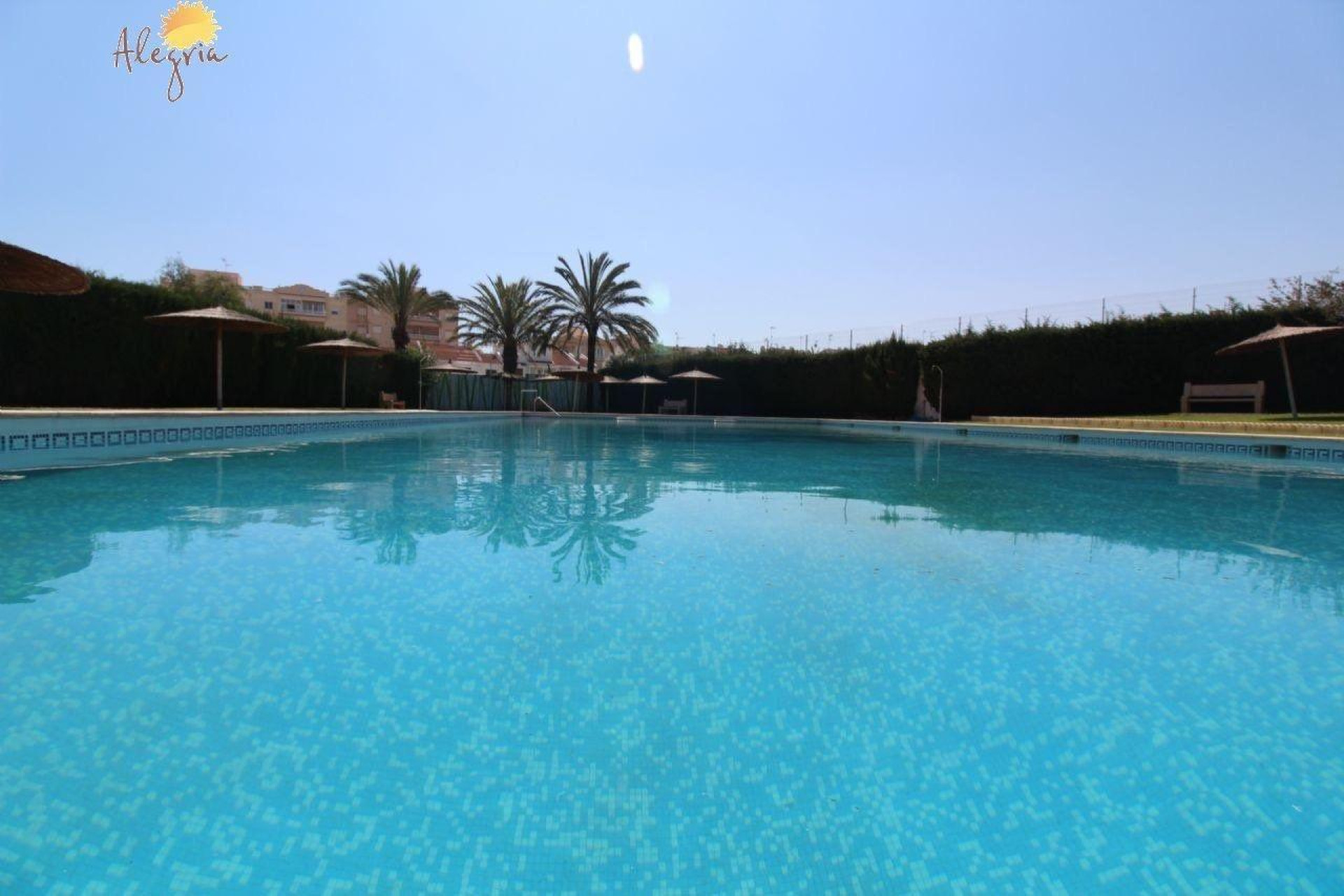 Resale - Apartment  - Torrevieja - Calas blanca