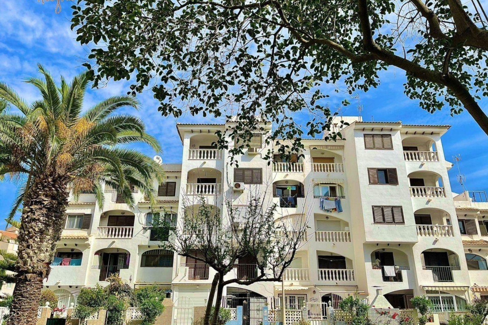 Resale - Apartment  - Torrevieja - Calas blanca