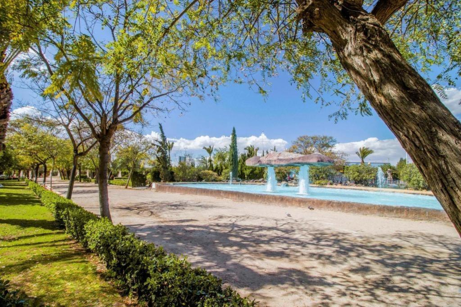 Resale - Apartment  - Torrevieja - Centro