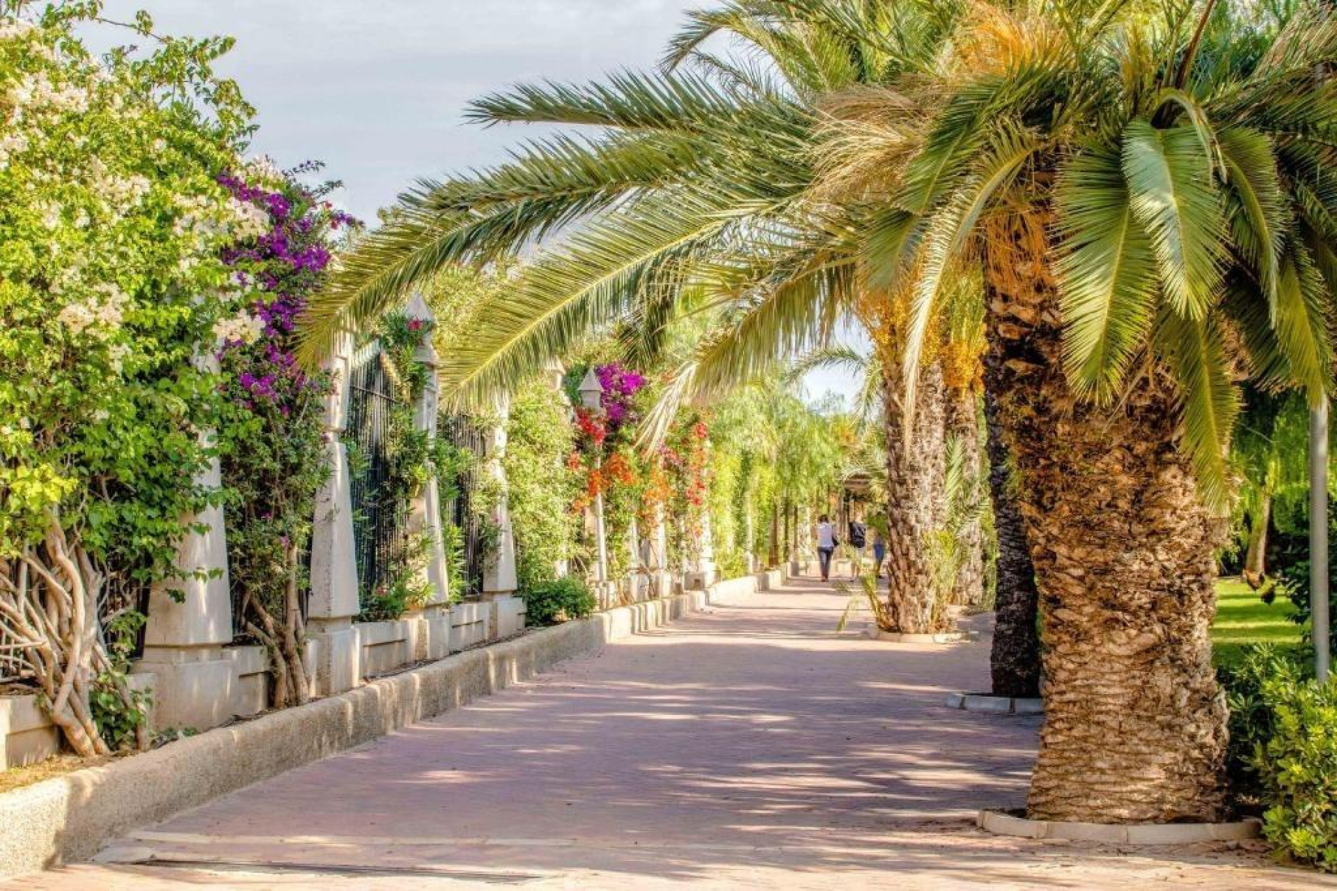 Resale - Apartment  - Torrevieja - Centro