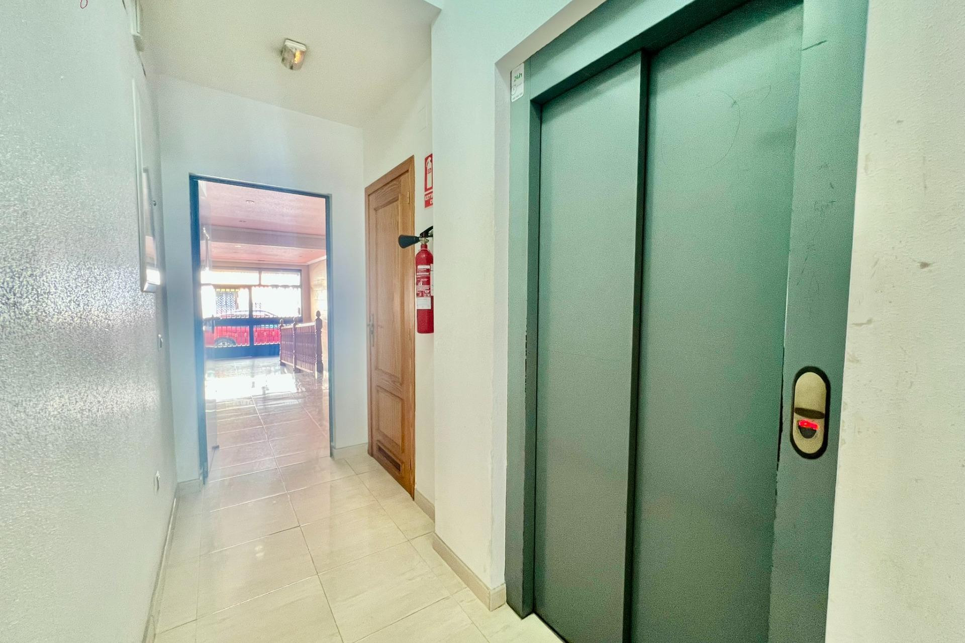 Resale - Apartment  - Torrevieja - Estacion de autobuses