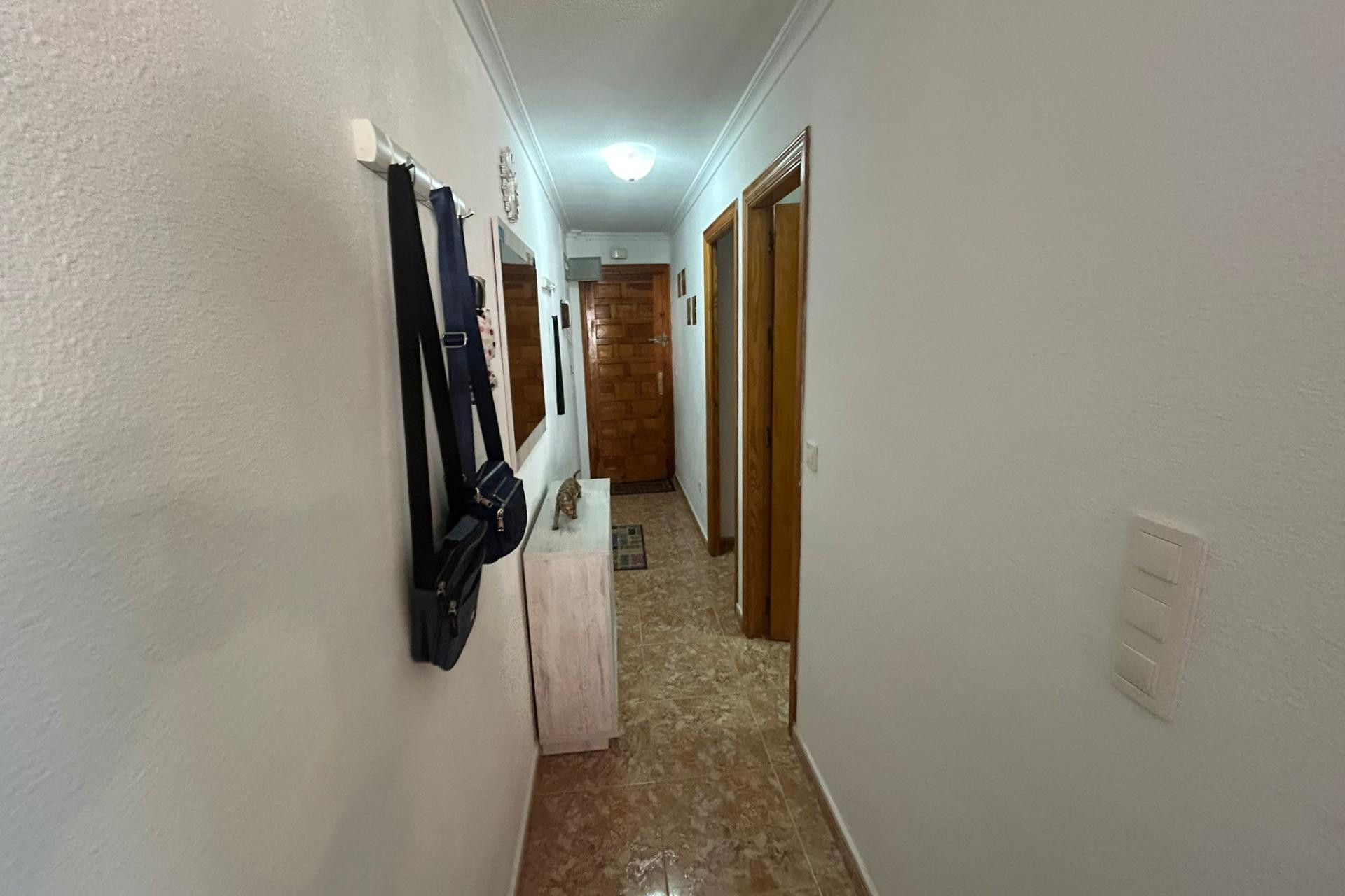 Resale - Apartment  - Torrevieja - Estacion de autobuses