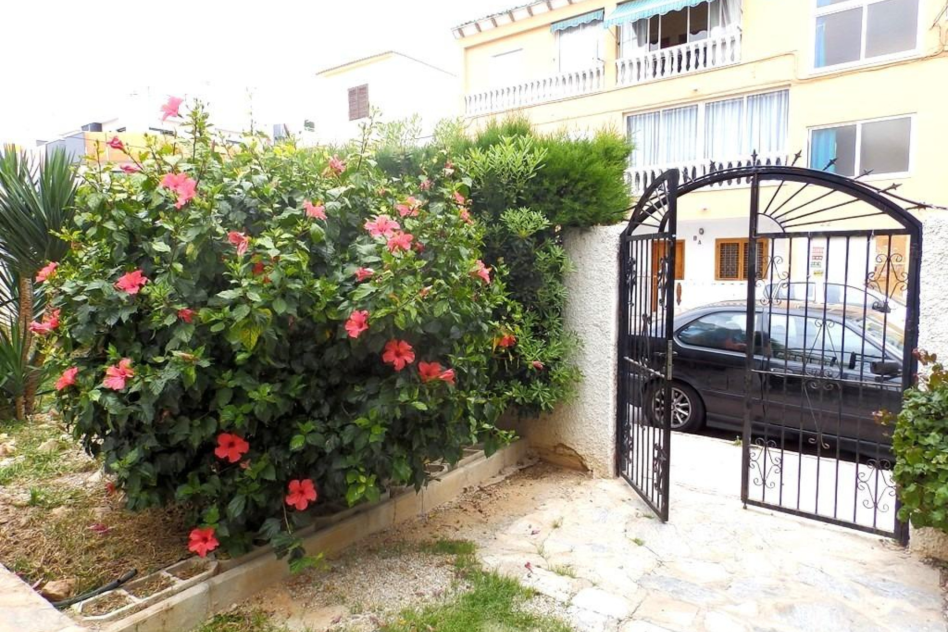 Resale - Apartment  - Torrevieja - Habaneras