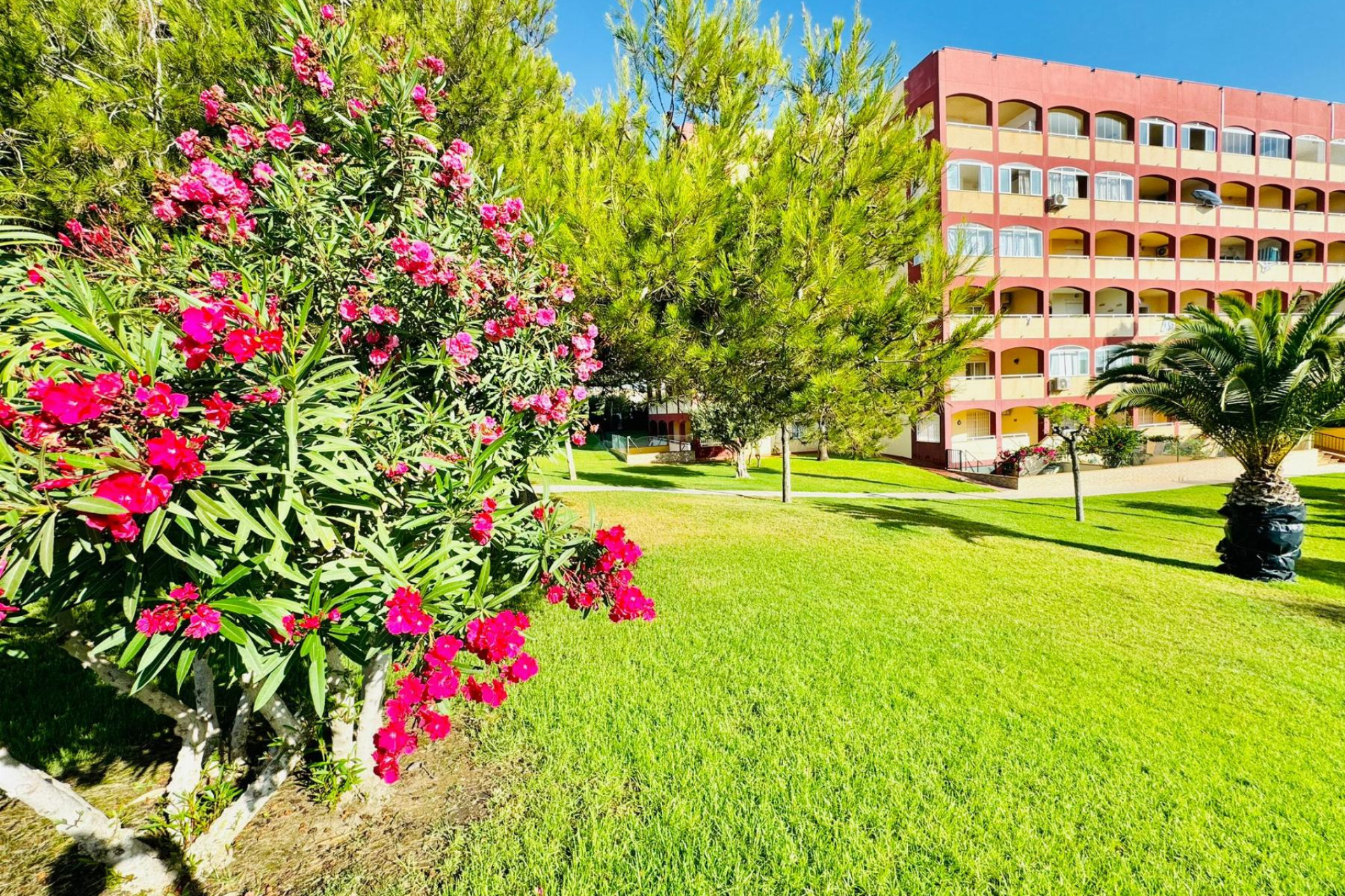 Resale - Apartment  - Torrevieja - La Mata