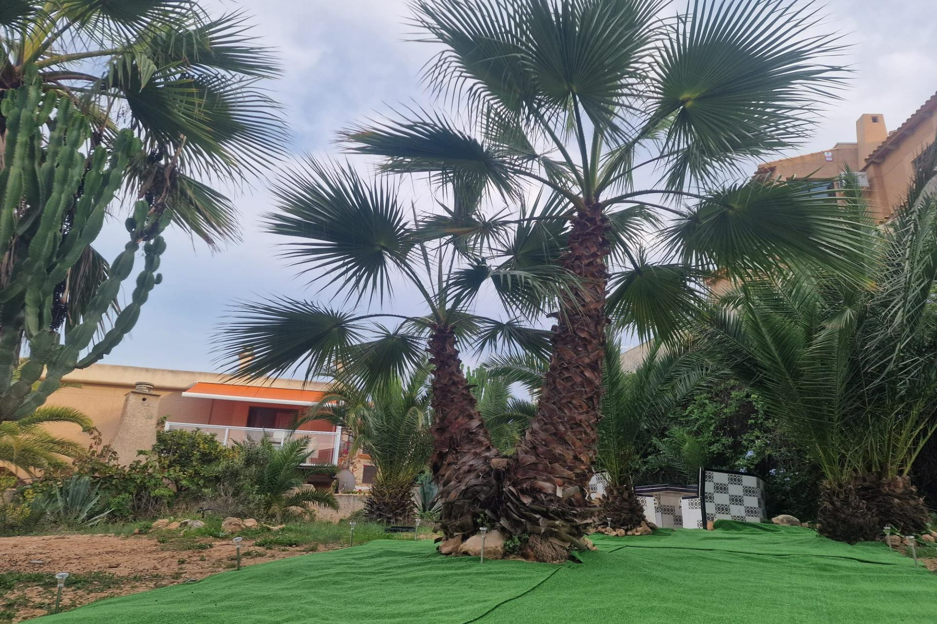 Resale - Apartment  - Torrevieja - La Mata