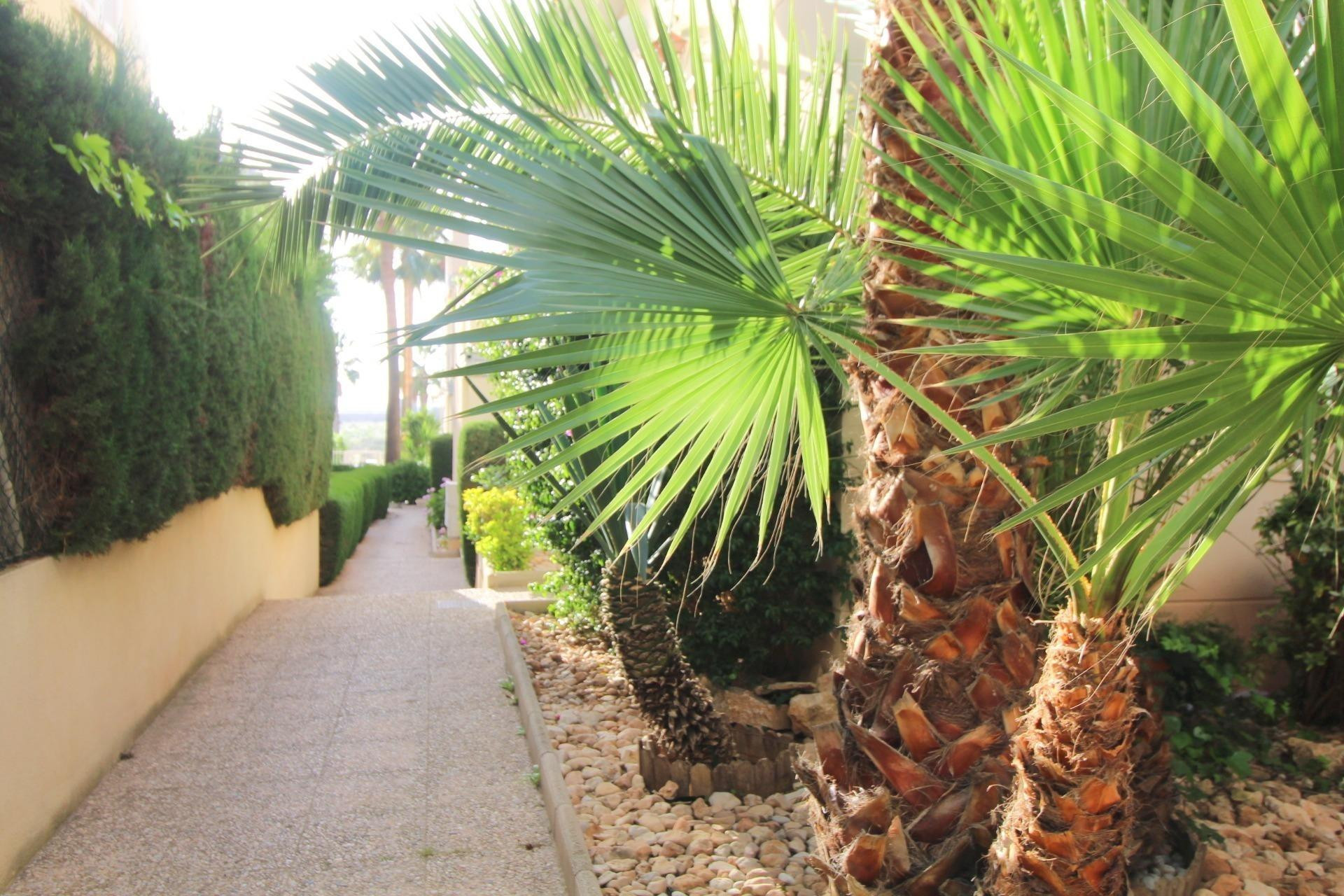 Resale - Apartment  - Torrevieja - La veleta