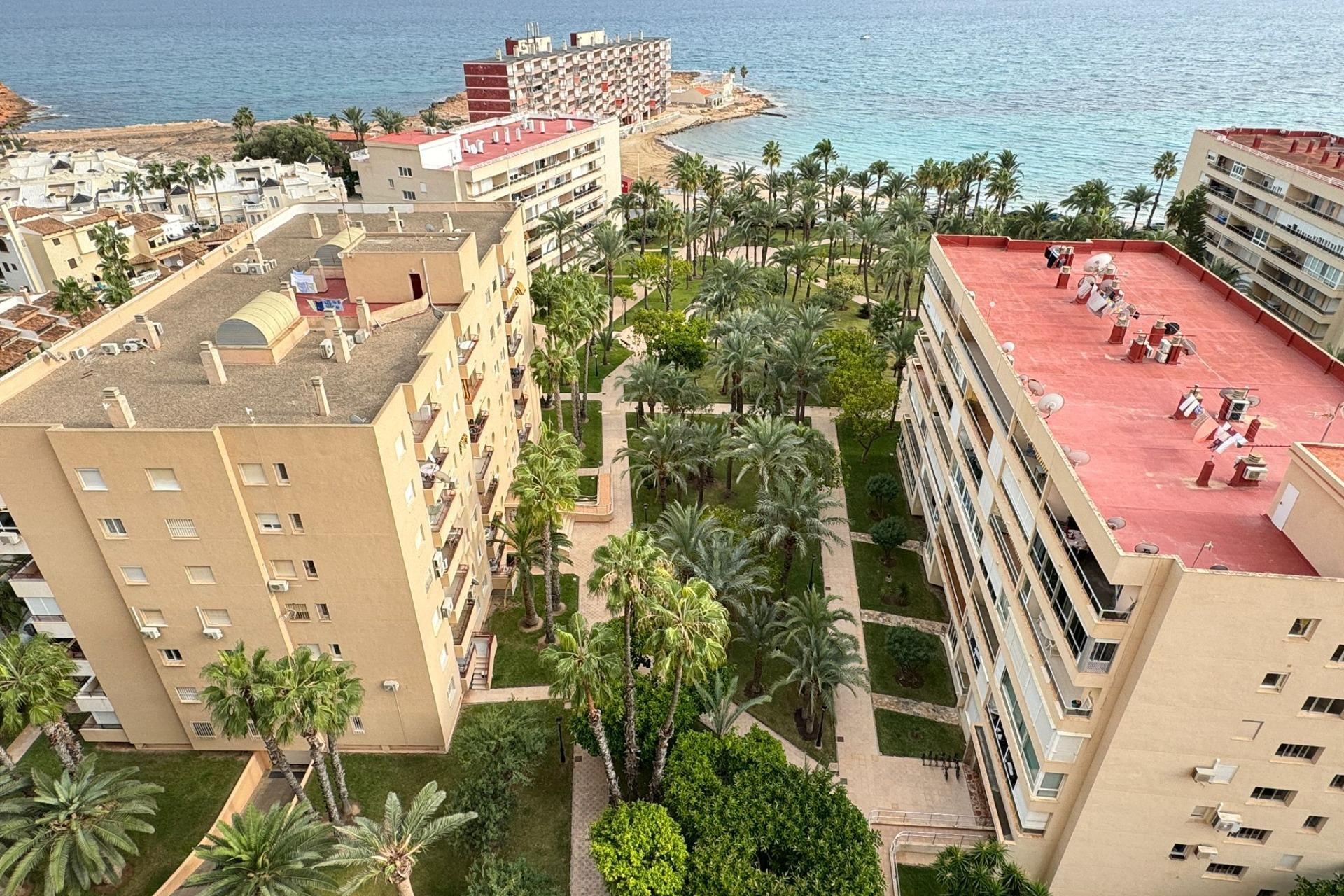 Resale - Apartment  - Torrevieja - Los Frutales