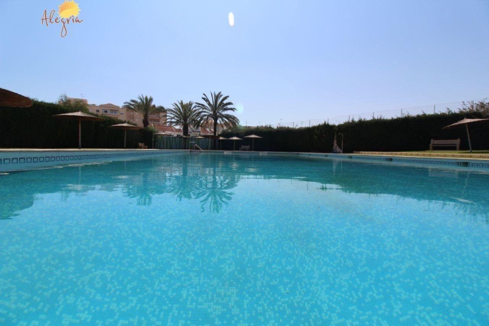 Resale - Apartment  - Torrevieja - Playa de los locos