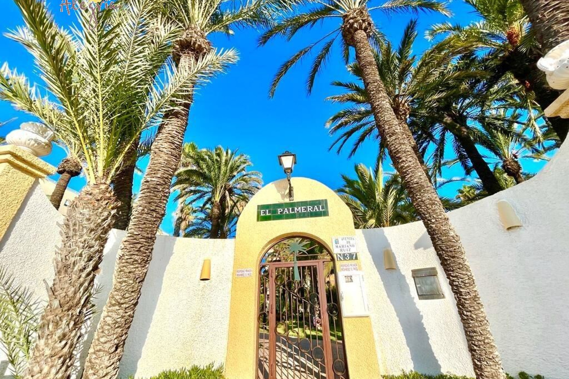 Resale - Apartment  - Torrevieja - Playa de los Locos