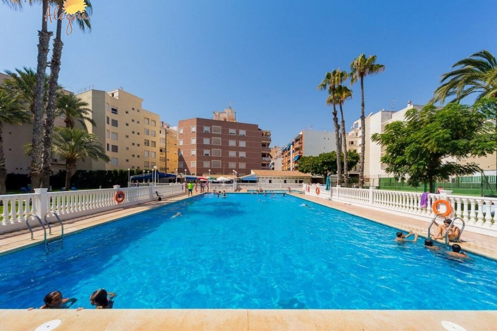 Resale - Apartment  - Torrevieja - Playa de los Locos