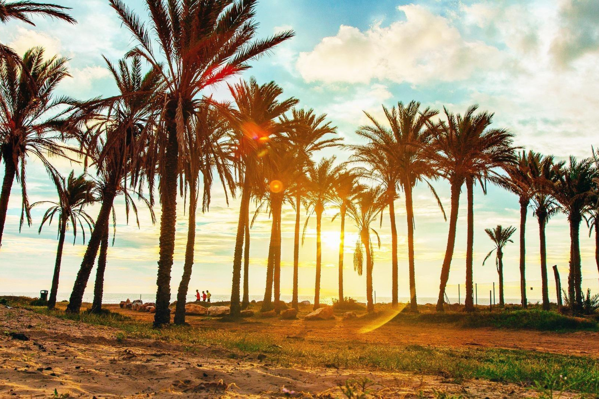 Resale - Apartment  - Torrevieja - playa de los naufragos