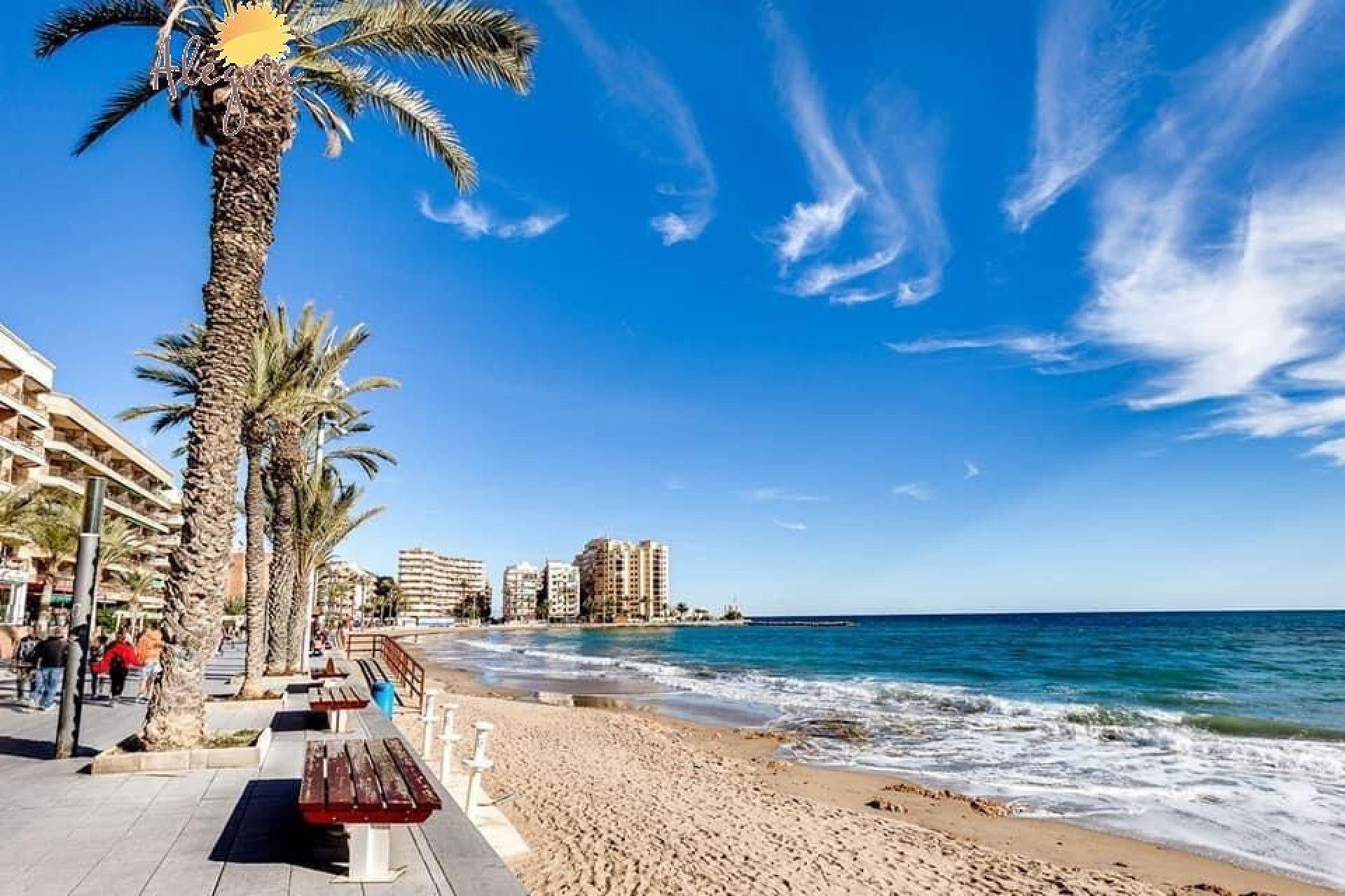 Resale - Apartment  - Torrevieja - Playa del cura