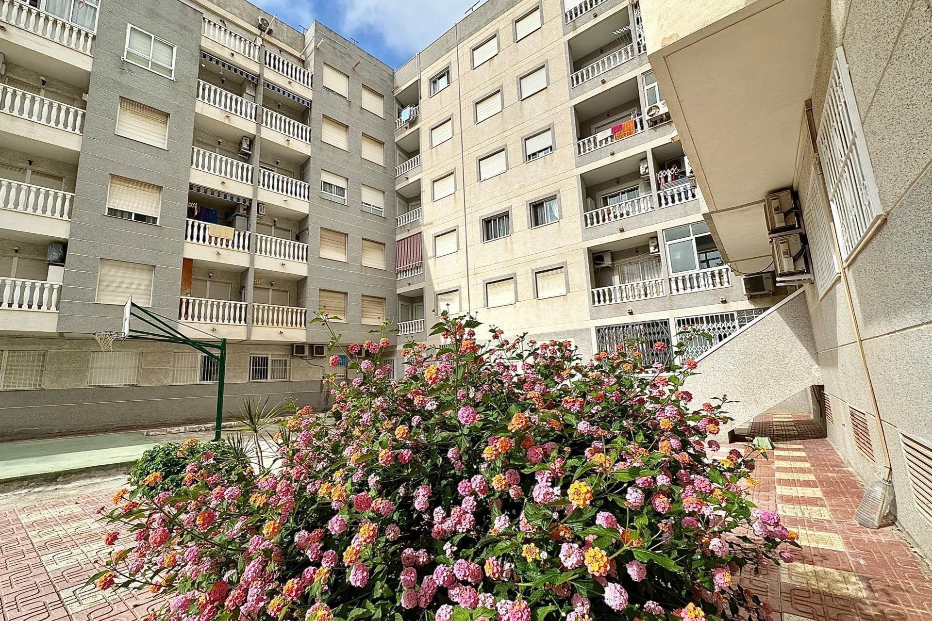 Resale - Apartment  - Torrevieja - Playa del cura