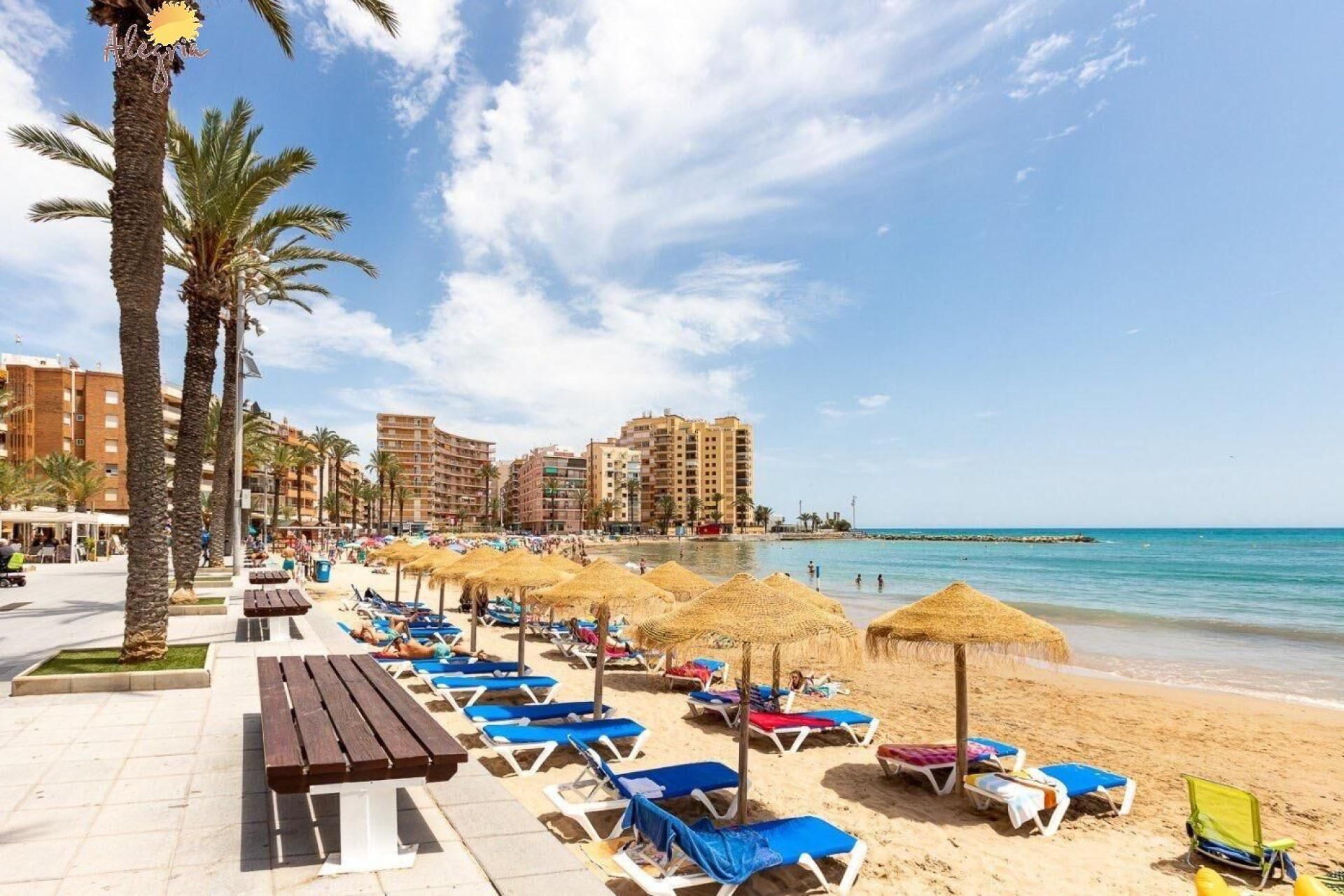 Resale - Apartment  - Torrevieja - Playa del cura