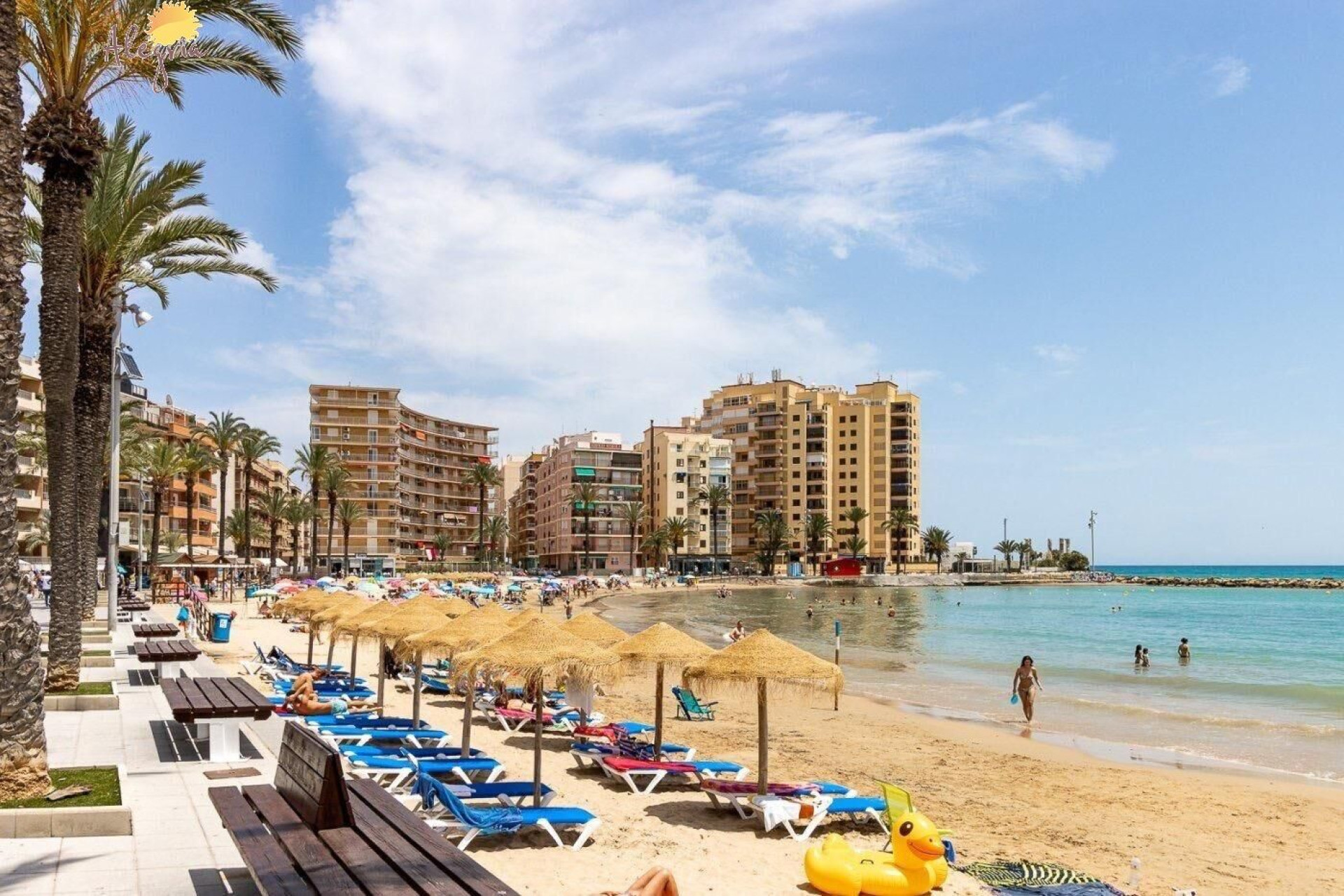 Resale - Apartment  - Torrevieja - Playa del cura