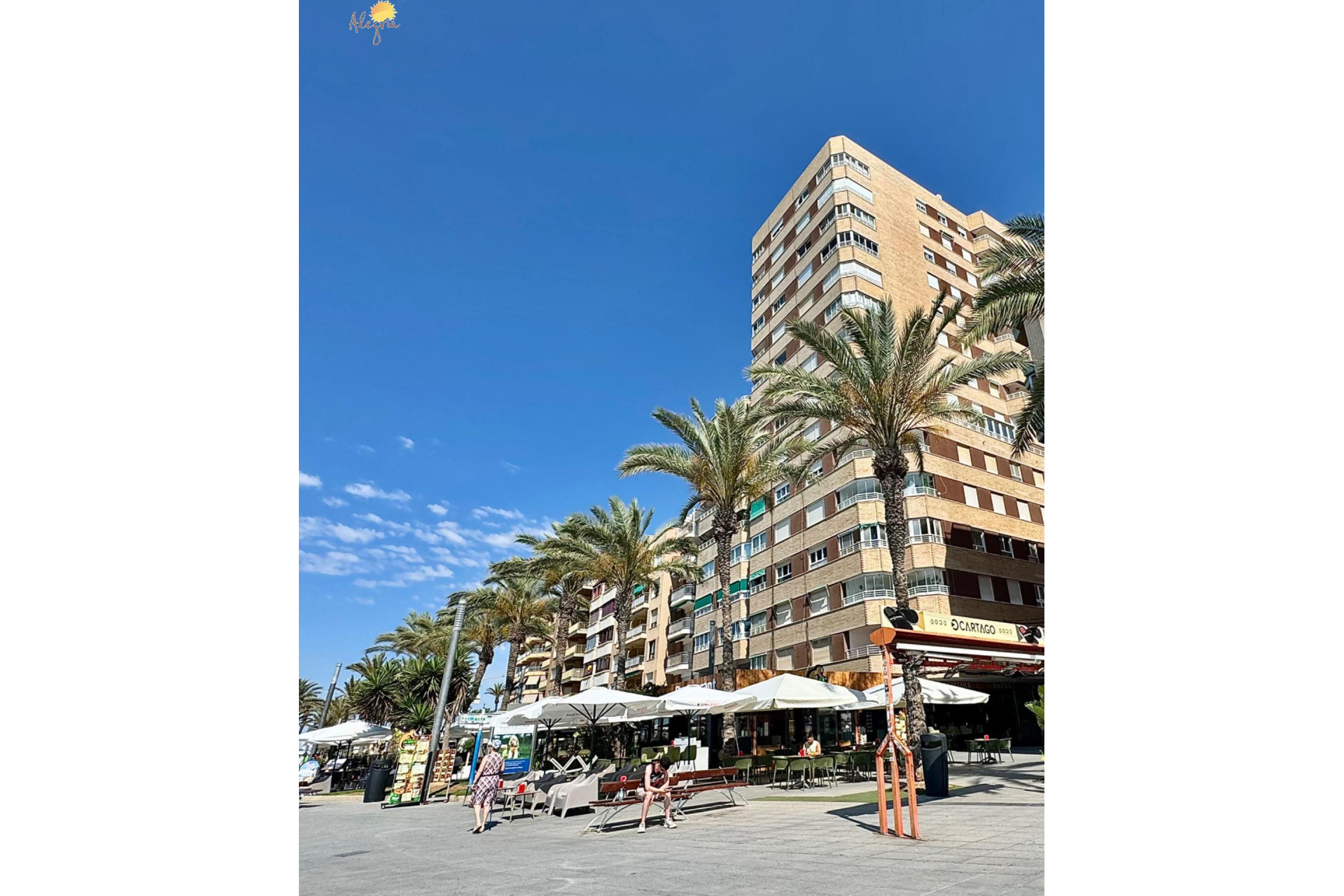 Resale - Apartment  - Torrevieja - Playa del cura