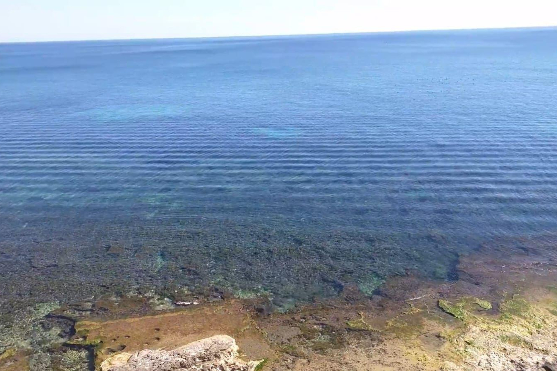 Resale - Apartment  - Torrevieja - Playa del Cura