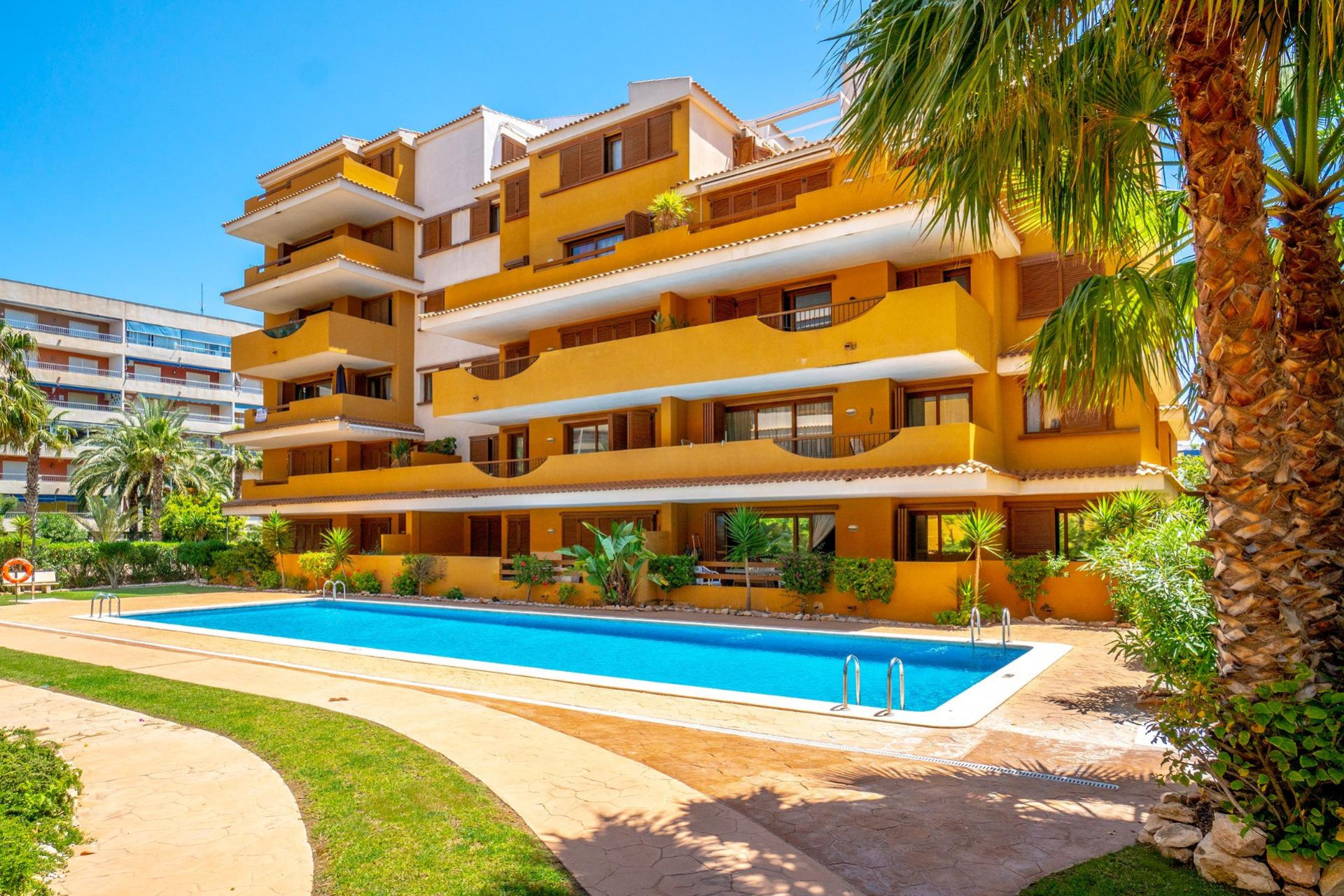 Resale - Apartment  - Torrevieja - Punta prima