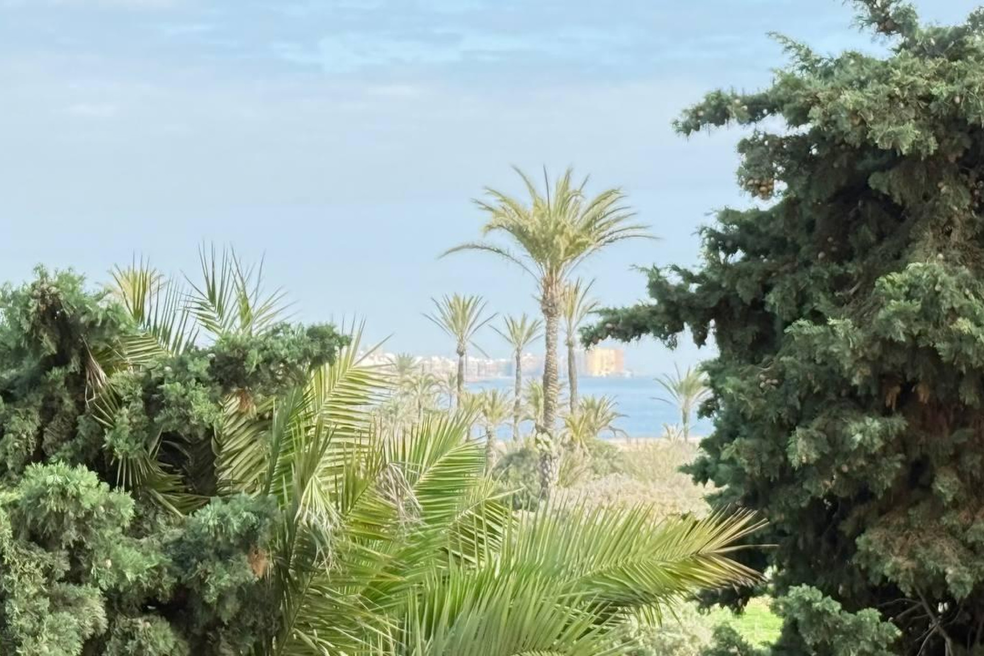 Resale - Apartment  - Torrevieja - Punta prima