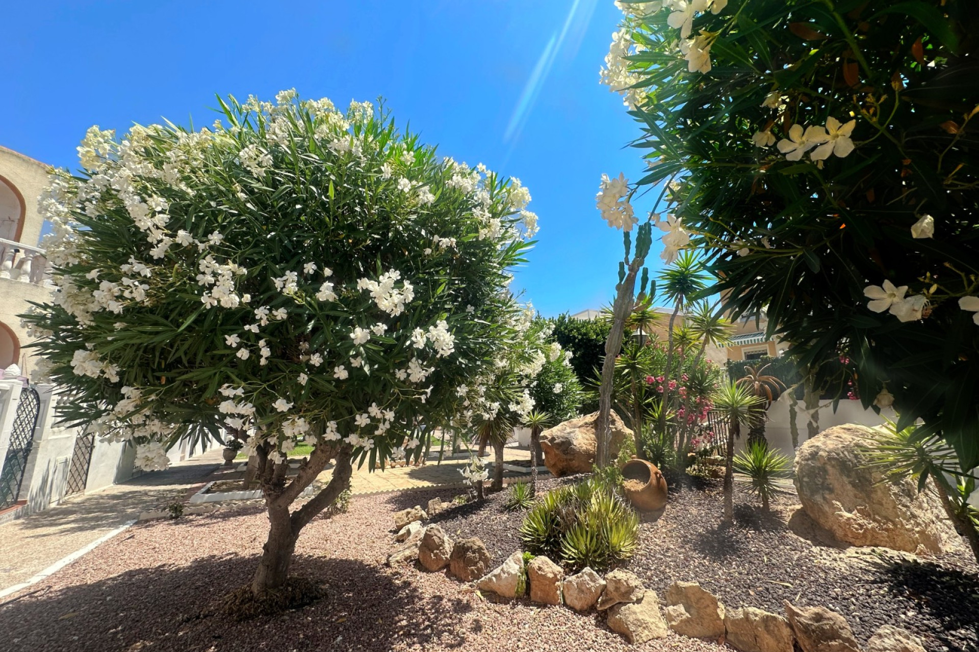 Resale - Apartment  - Torrevieja - Torre La Mata