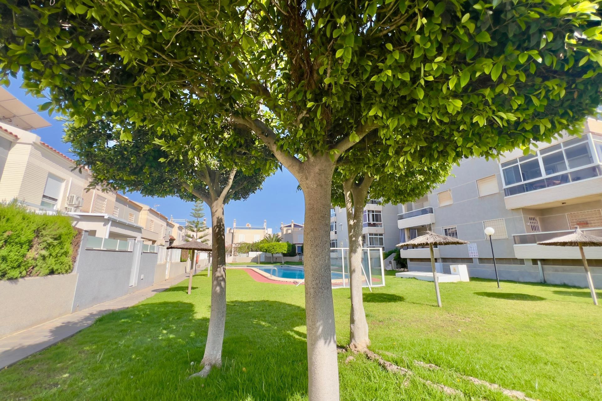 Resale - Apartment  - Torrevieja - Torreblanca