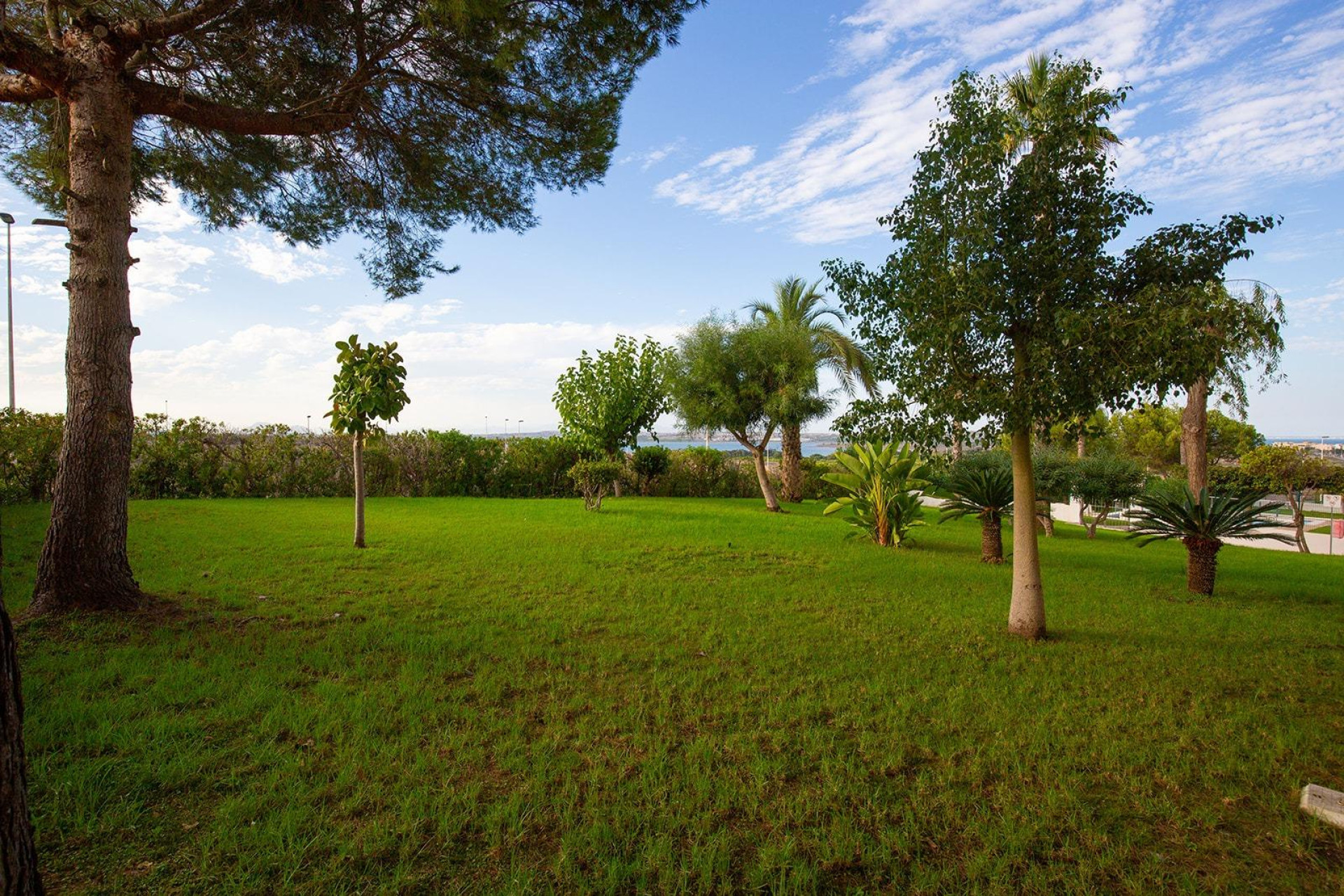 Resale - Apartment  - Torrevieja - Torreblanca