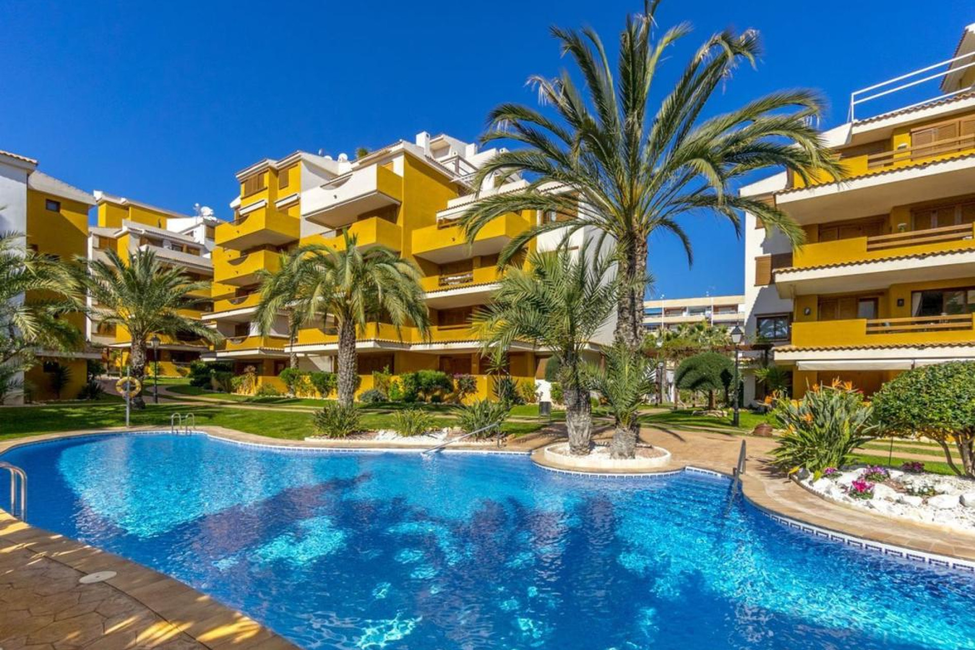 Resale - Apartment  - Torrevieja - torrevieja