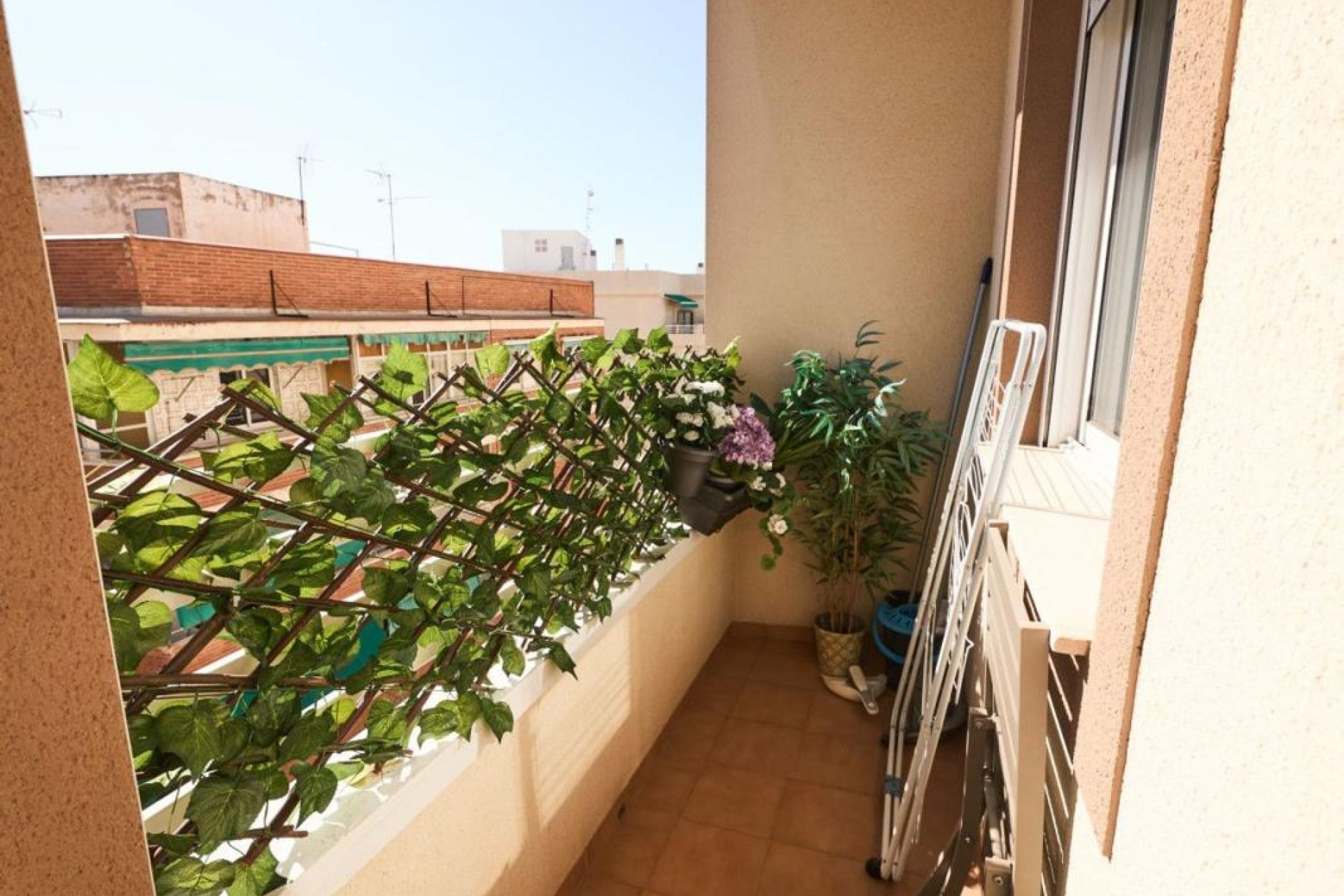 Resale - Apartment  - Torrevieja - torrevieja