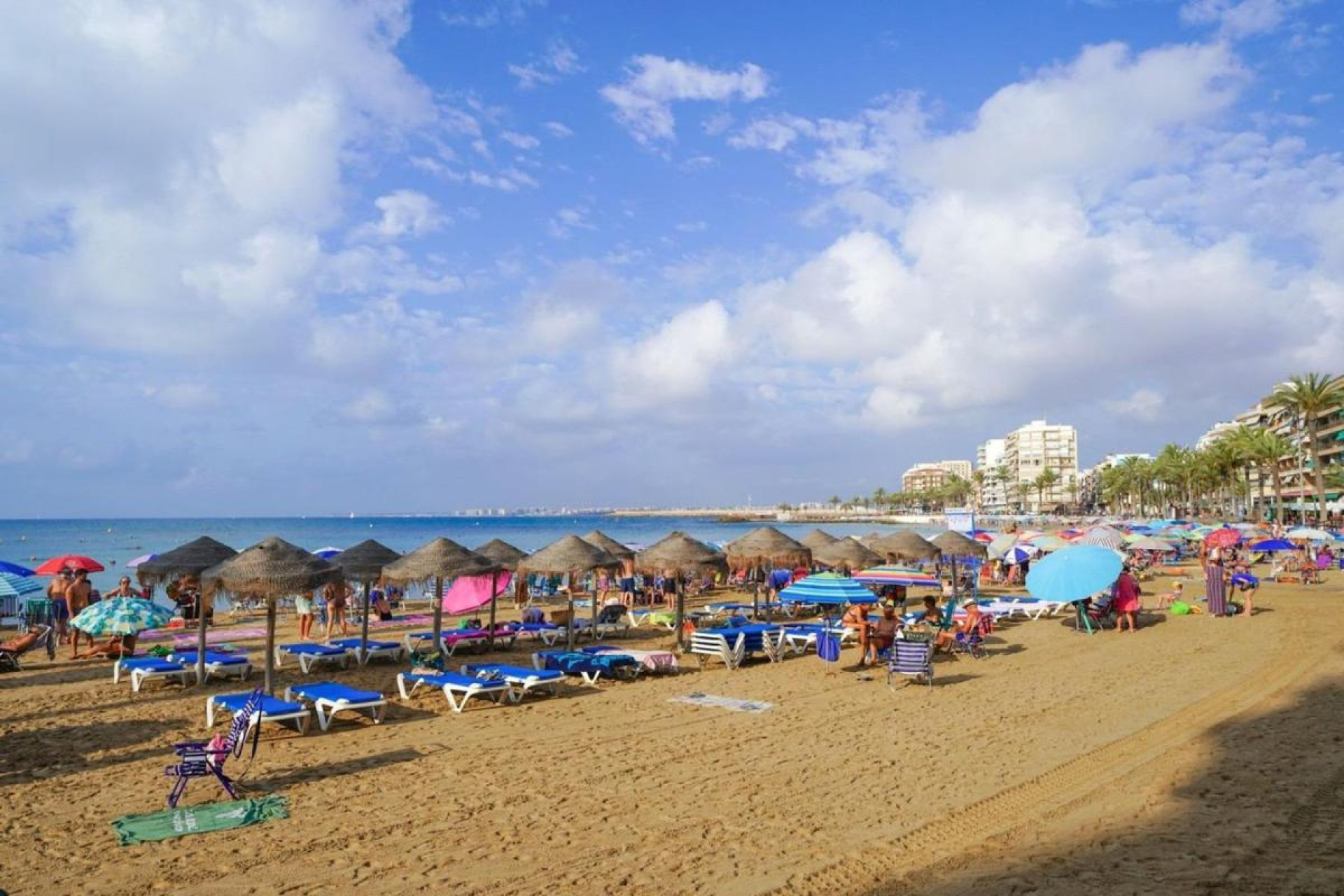 Resale - Apartment  - Torrevieja - torrevieja