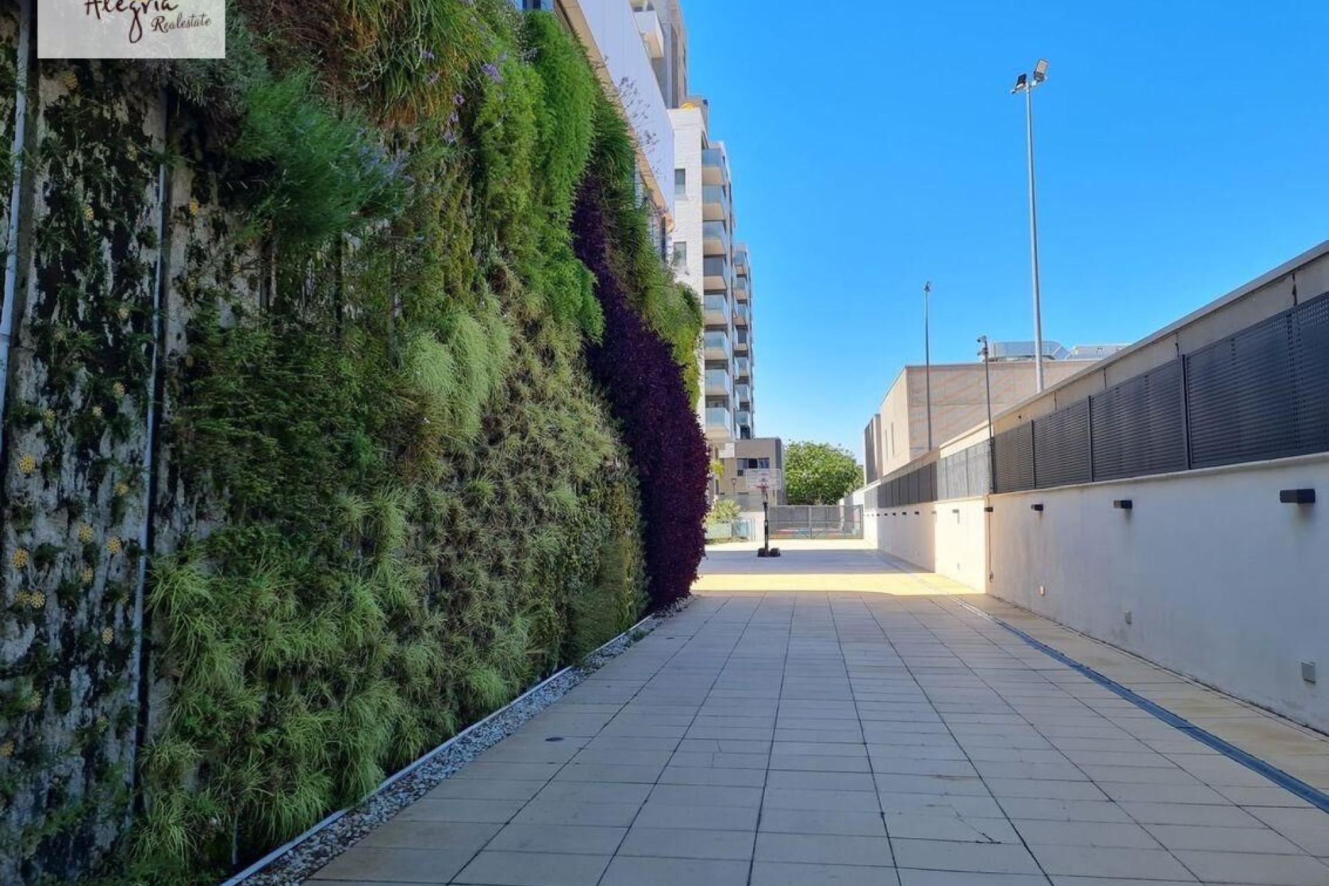 Resale - Apartment  - Valencia - Mont-Olivet