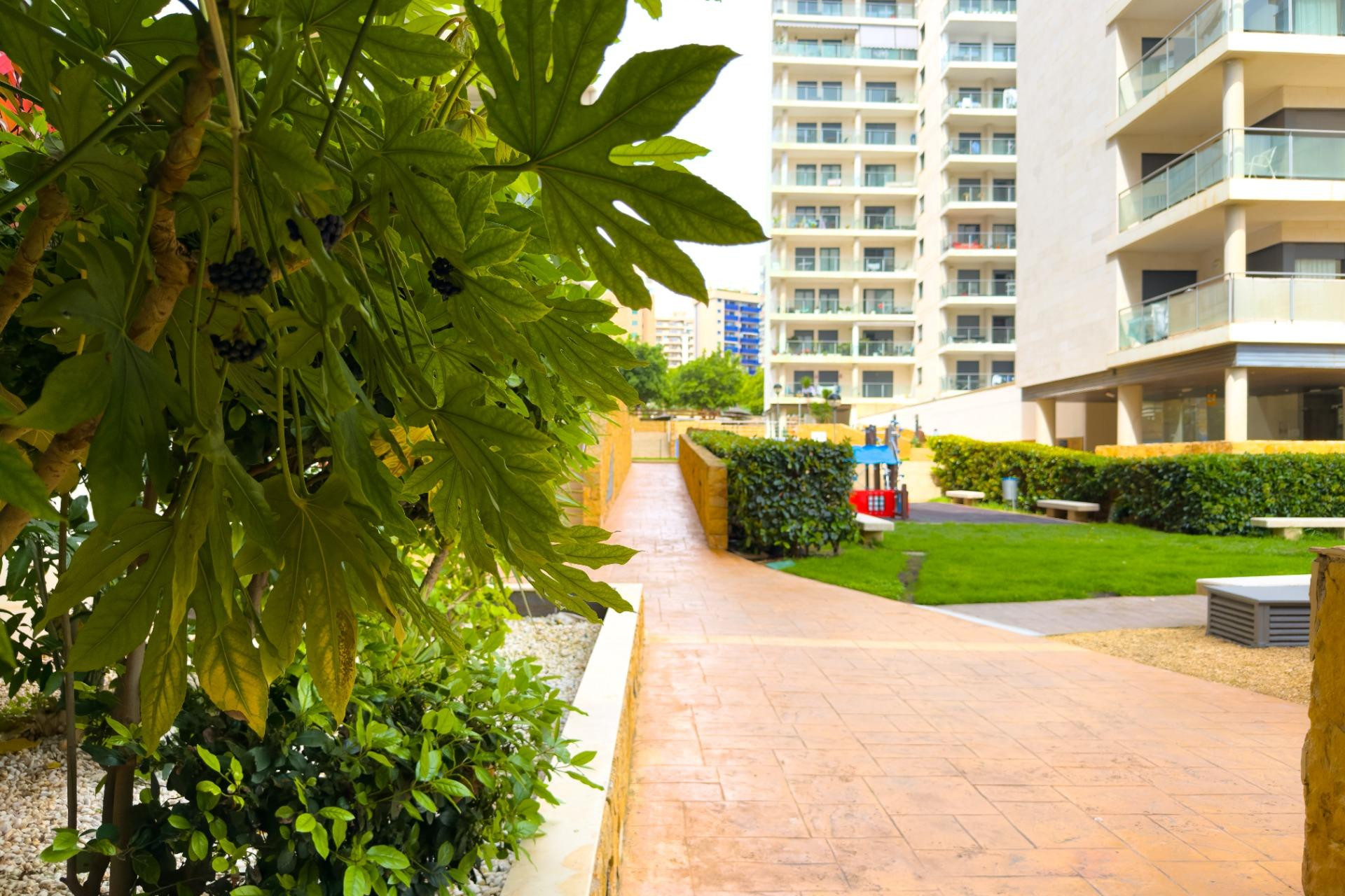 Resale - Apartment  - Villajoyosa - Cala Villajoyosa