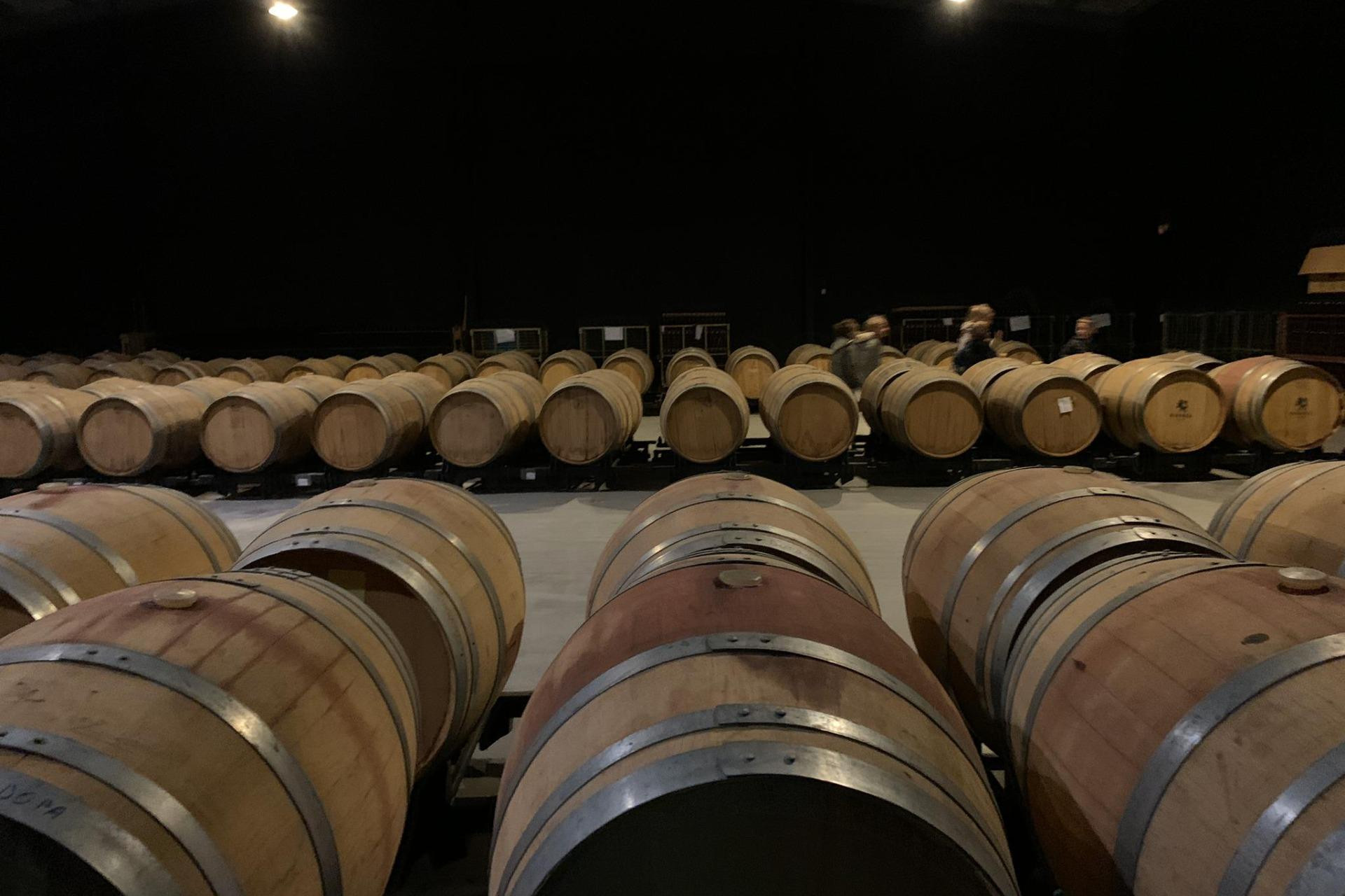 Resale - Bodega - PINOSO - CENTRO