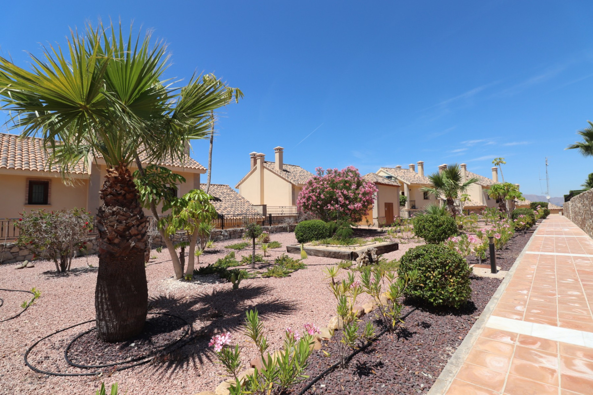 Resale - Bungalow - Algorfa - La Finca Golf Resort