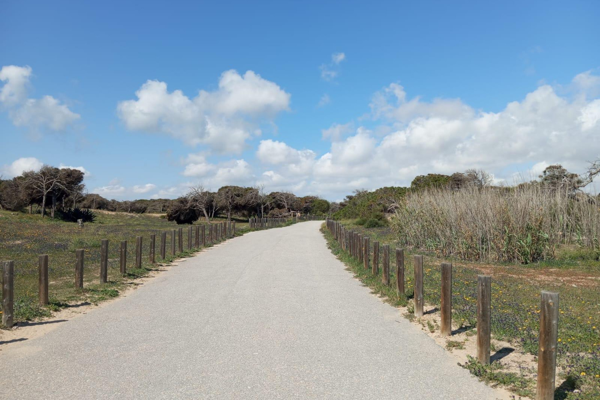 Resale - Bungalow - Guardamar del Segura - Urbanizaciones