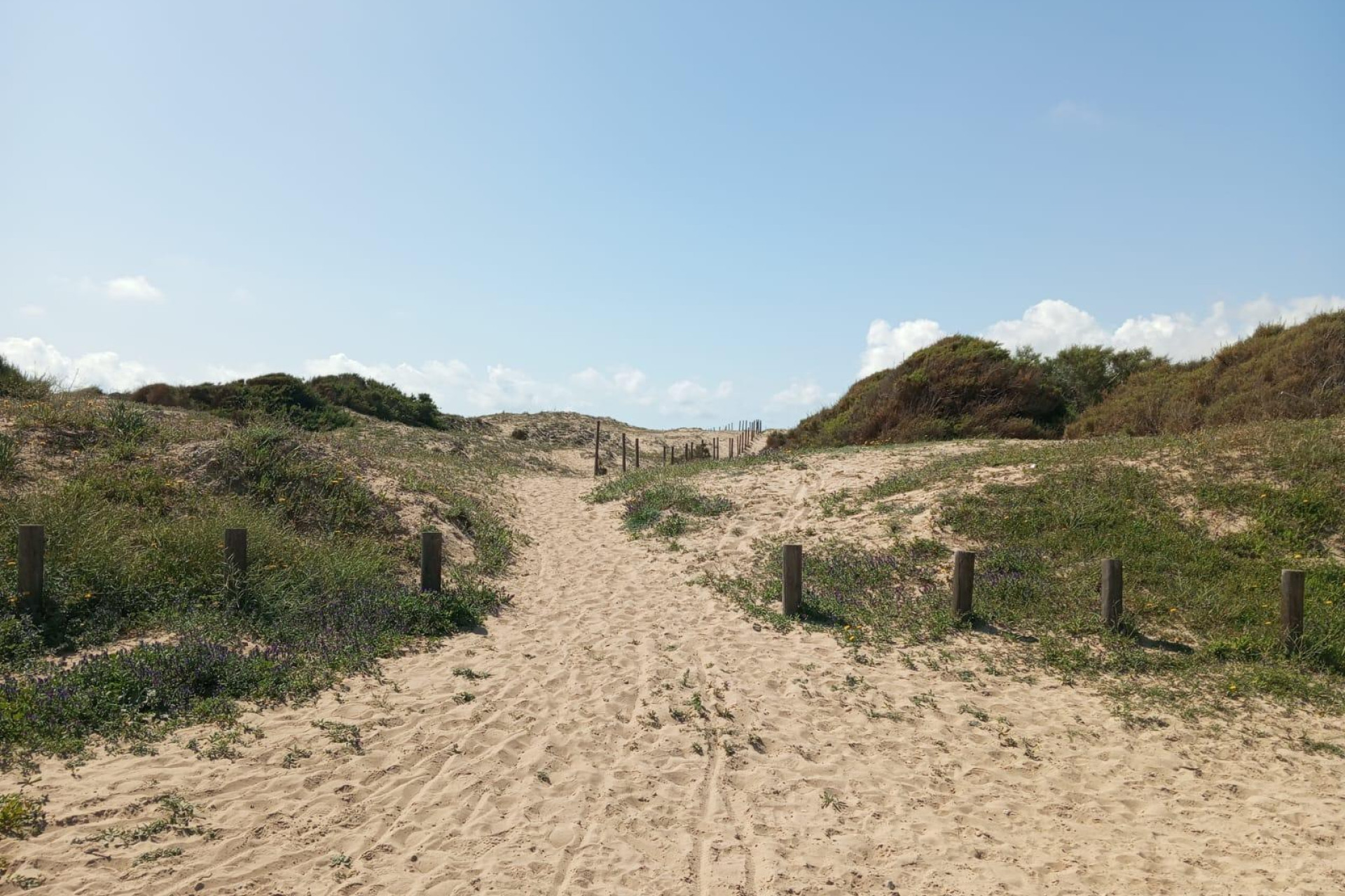 Resale - Bungalow - Guardamar del Segura - Urbanizaciones