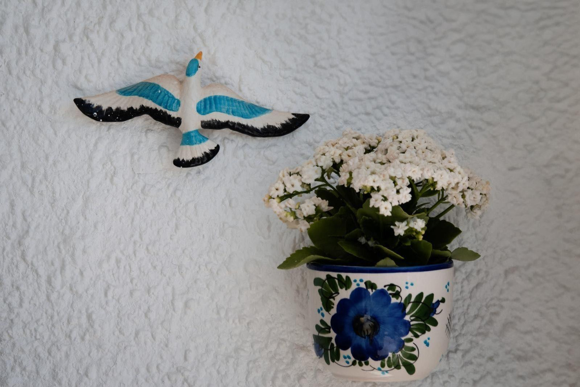 Resale - Bungalow - Torrevieja - Cabo cervera