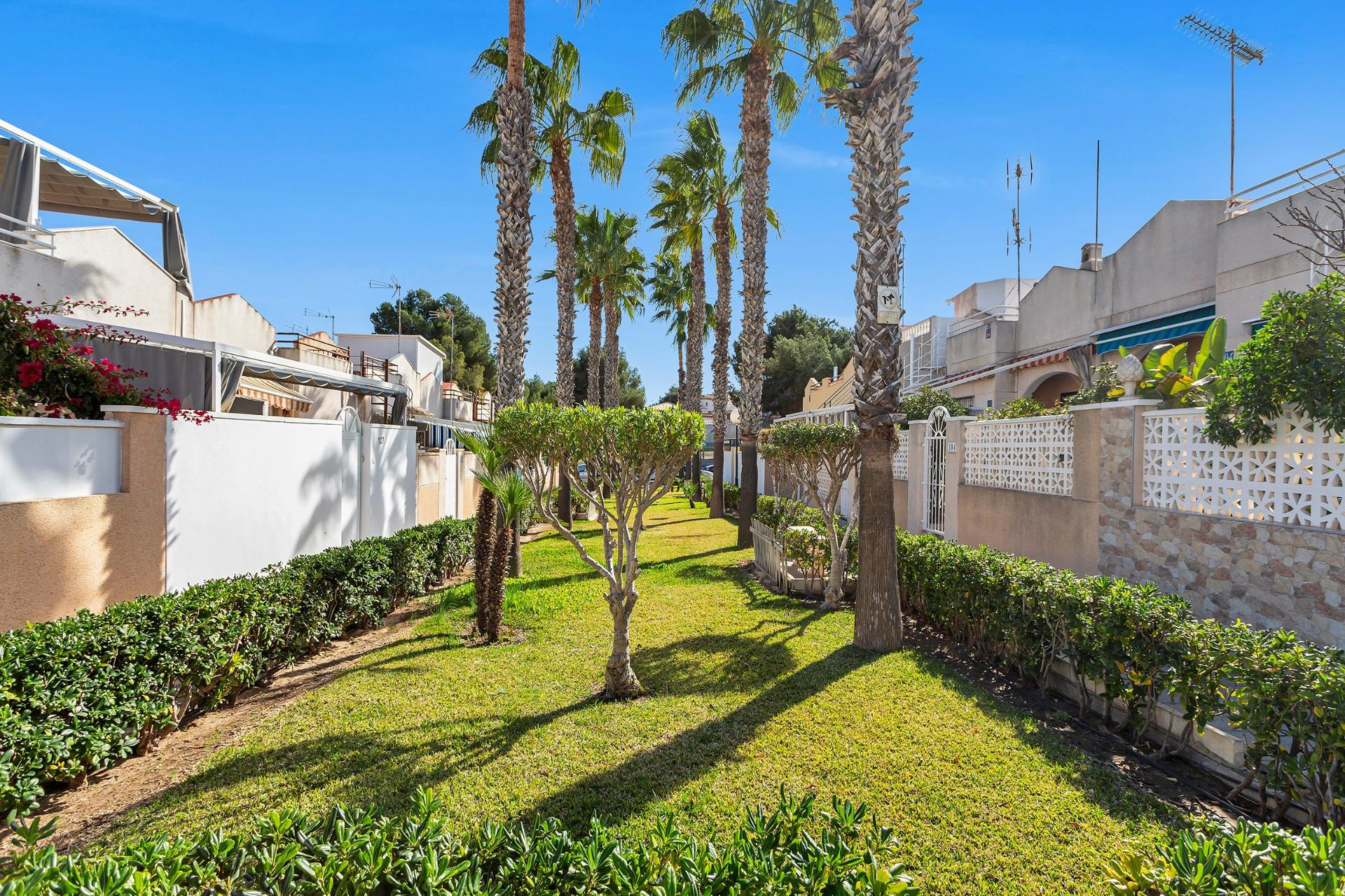 Resale - Bungalow - Torrevieja - Lago jardin