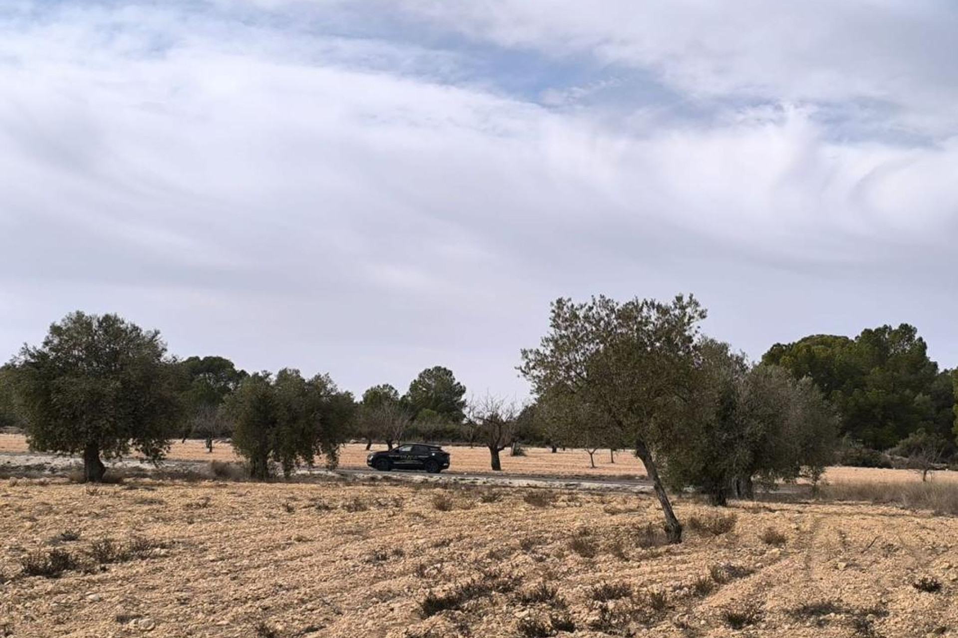 Resale - casas - Monovar