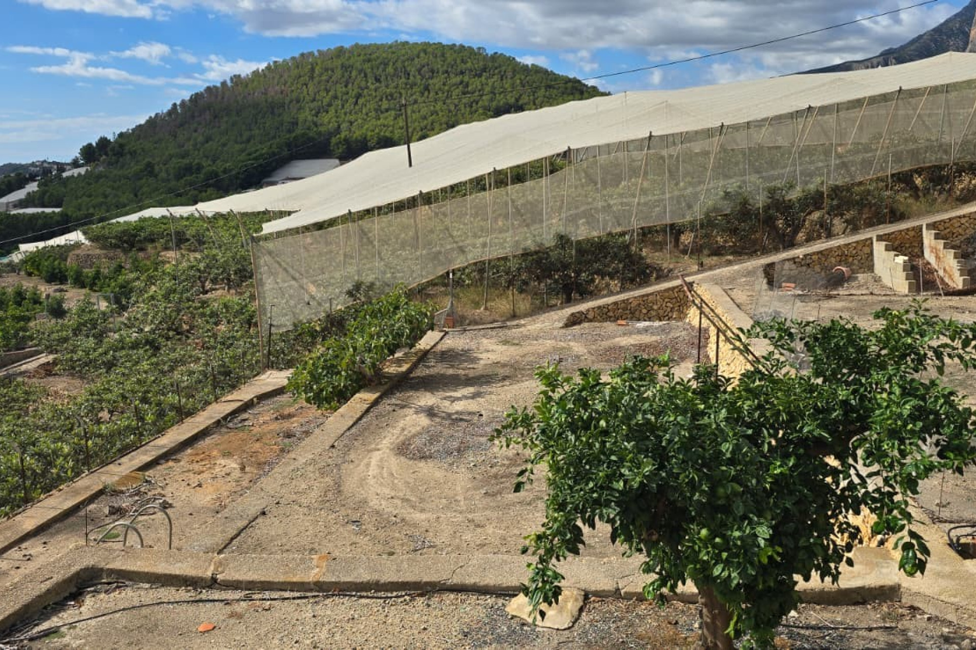 Resale - Chalet Independiente - Callosa De Ensarrià