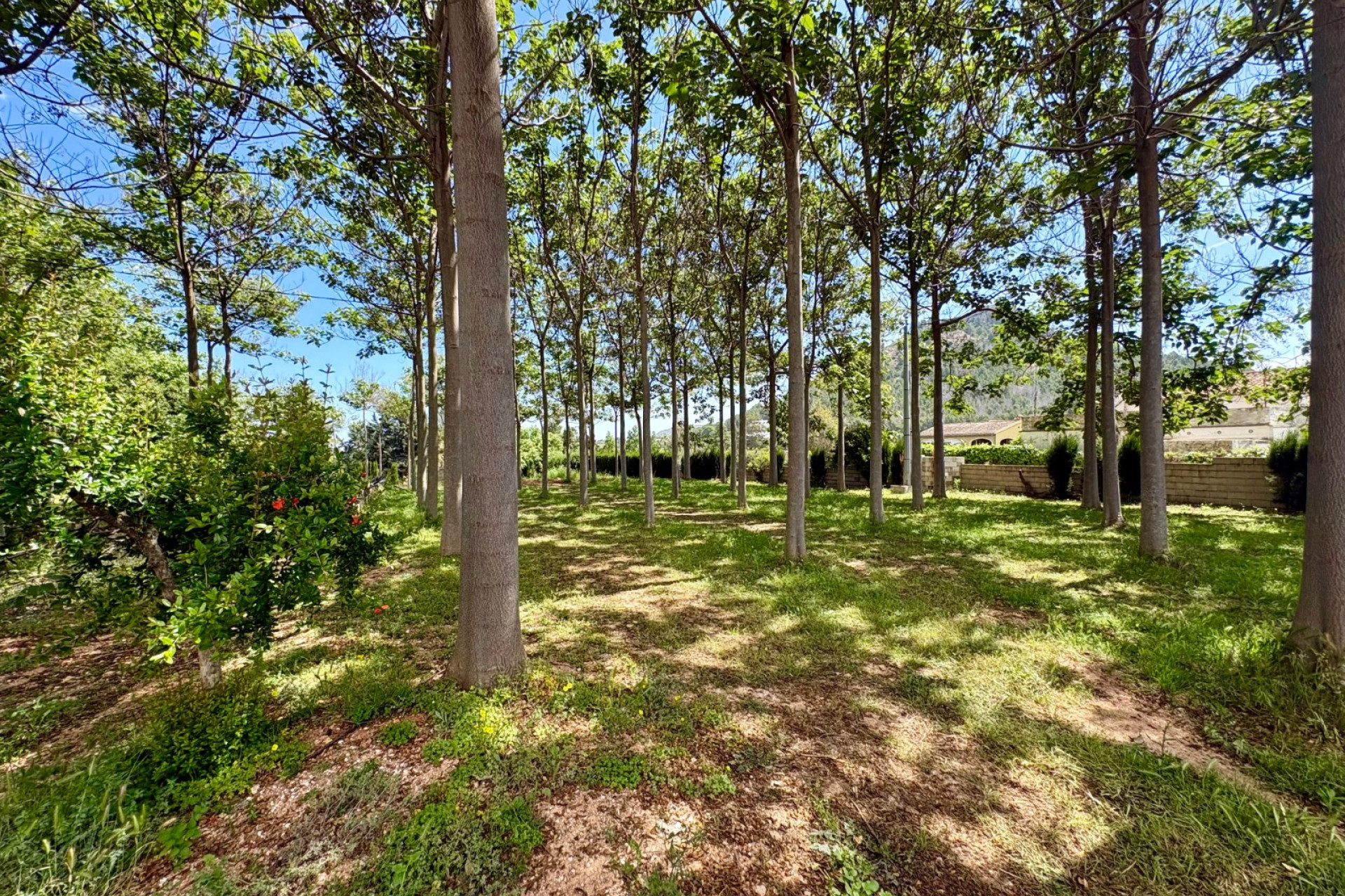Resale - Chalet Independiente - Pedreguer