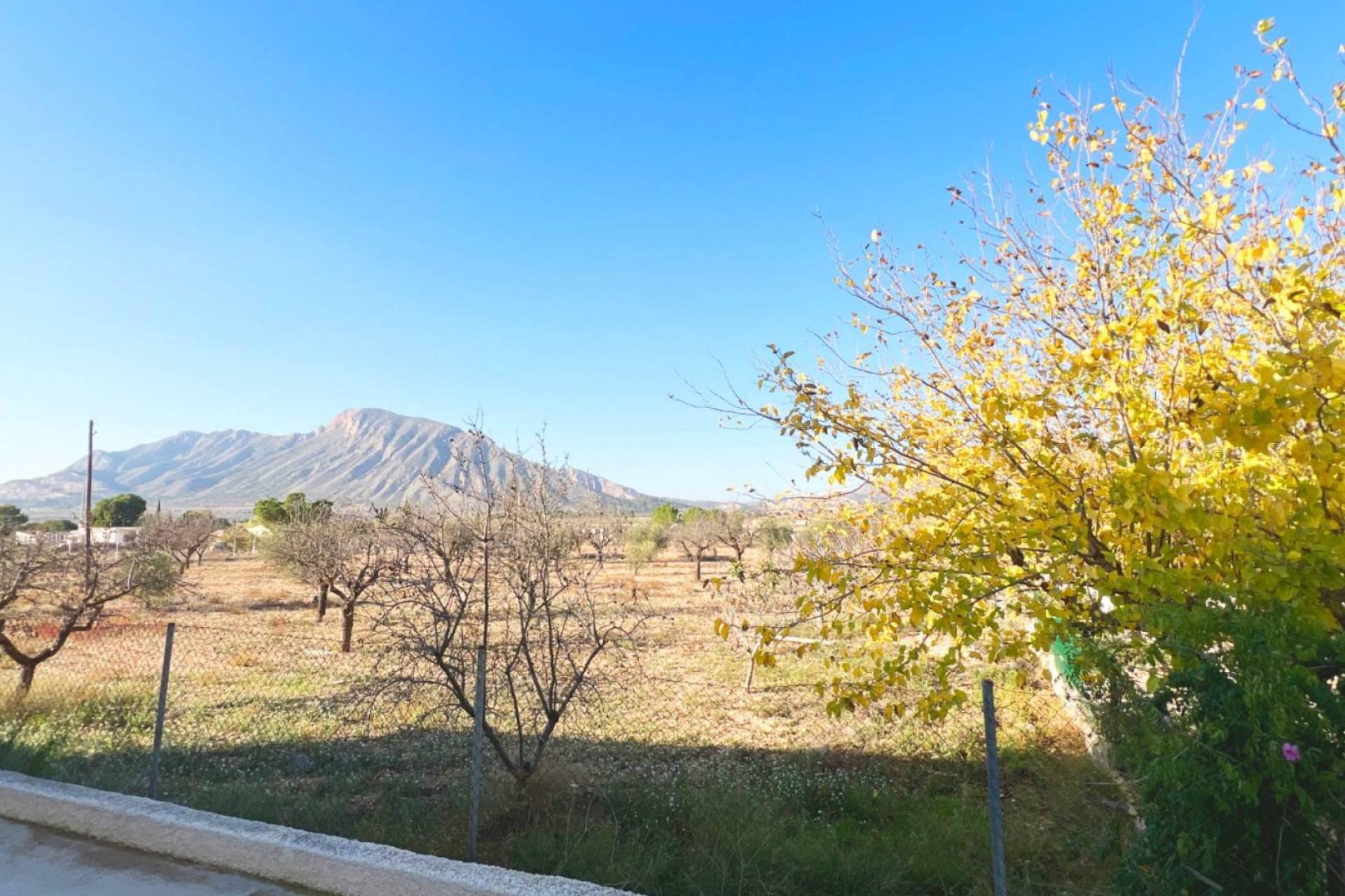 Resale - Country House - Barbaroja