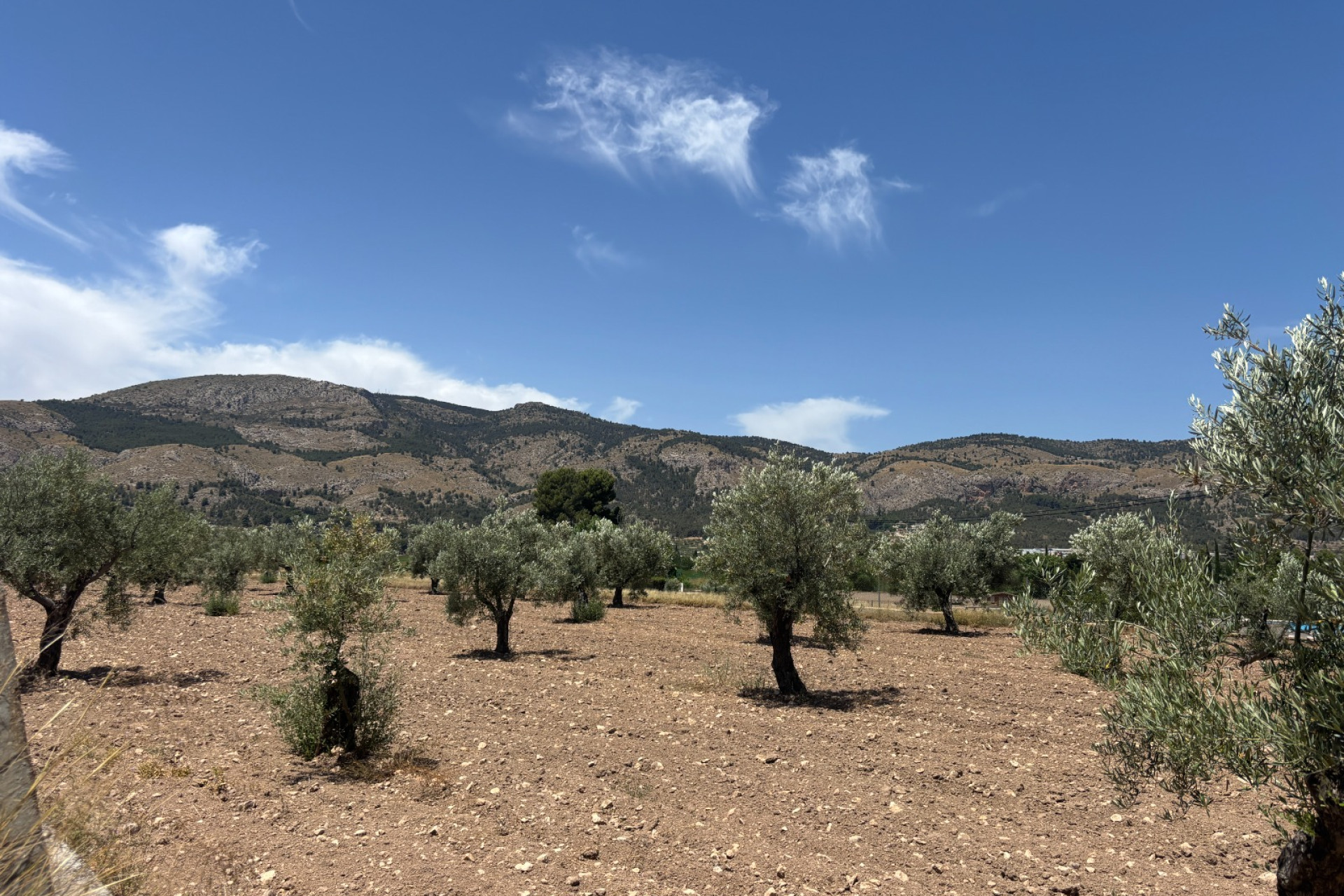 Resale - Country House - Castalla