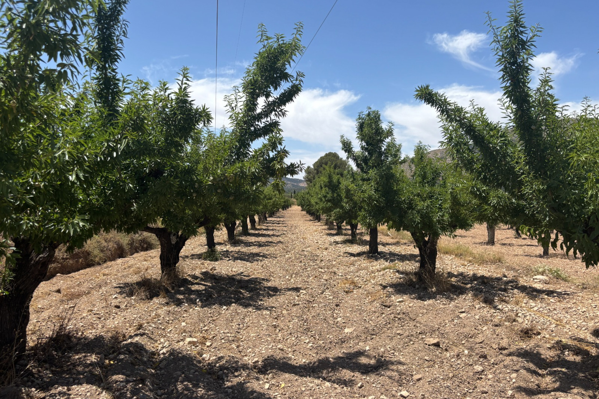 Resale - Country House - Castalla