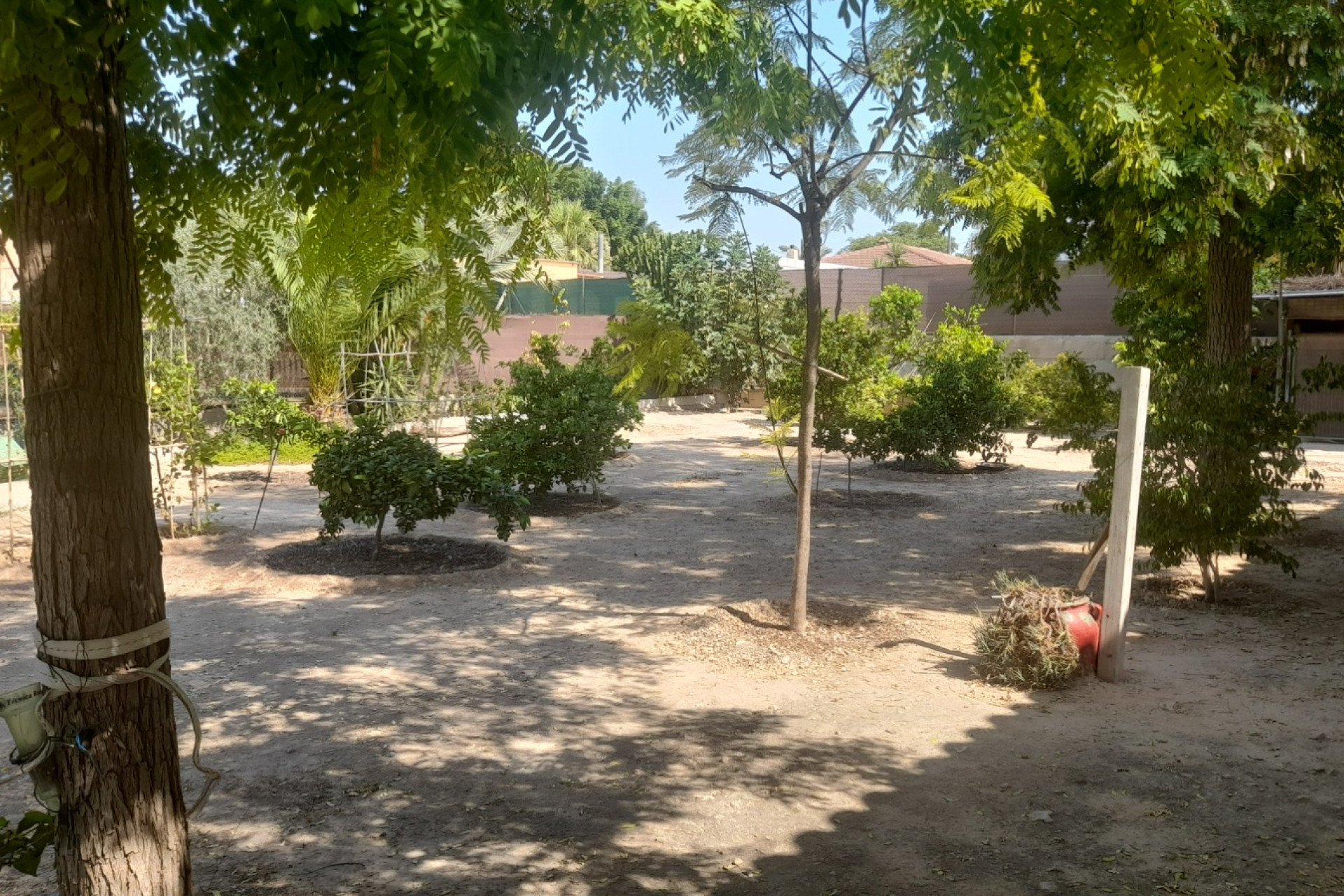 Resale - Country House - Crevillente